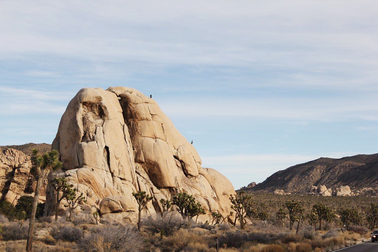 Climbers at Joshua Tree