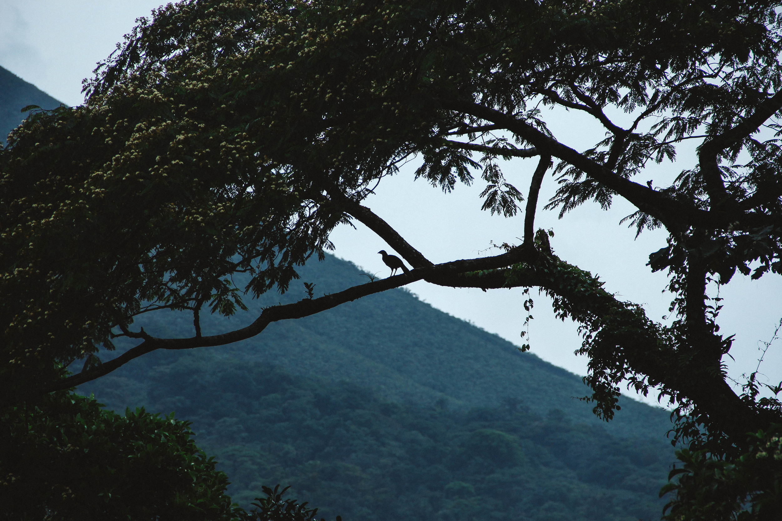 Sunset at Arenal Volcano