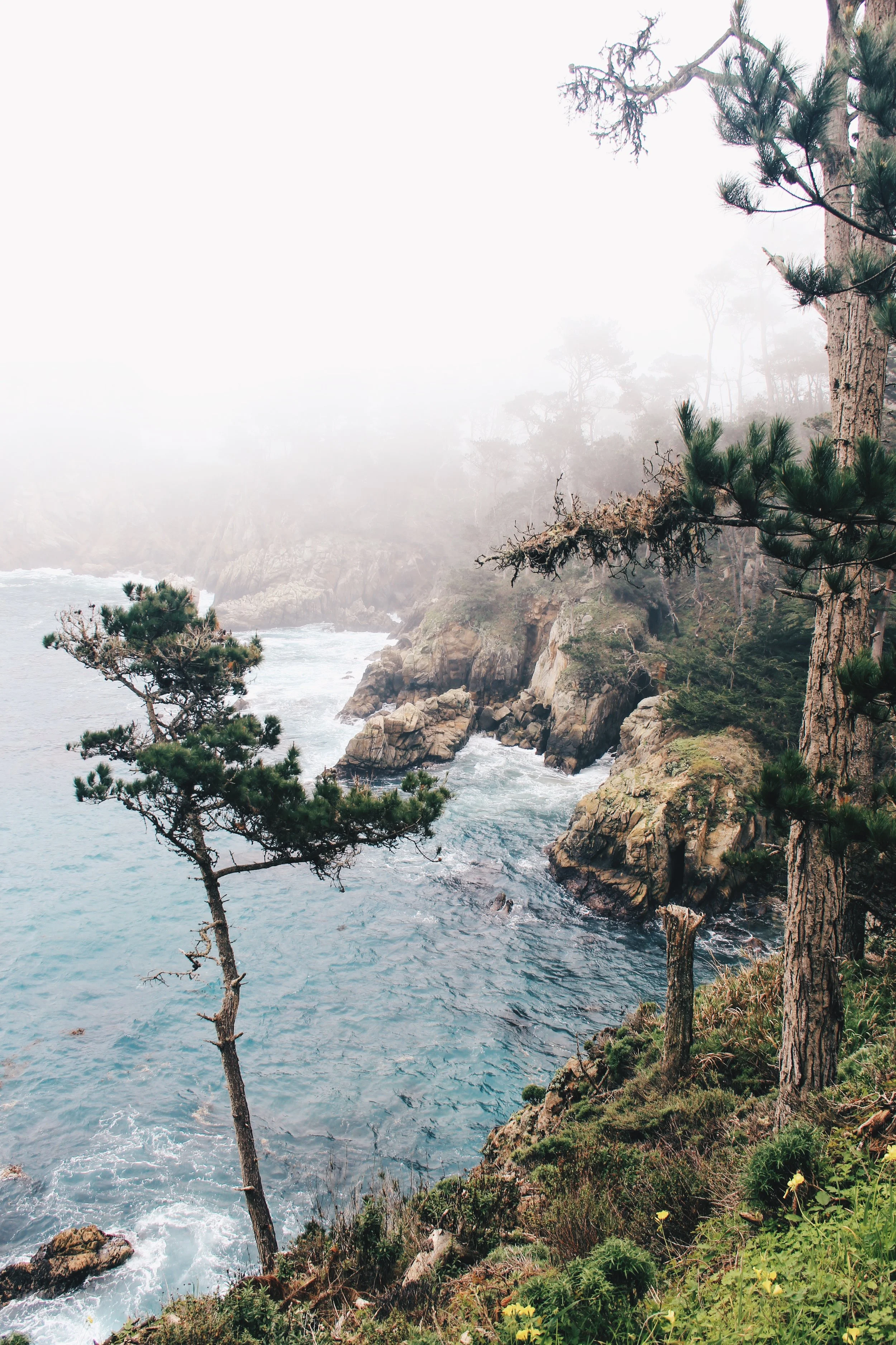 Point Lobos State Park | A Photo Journal