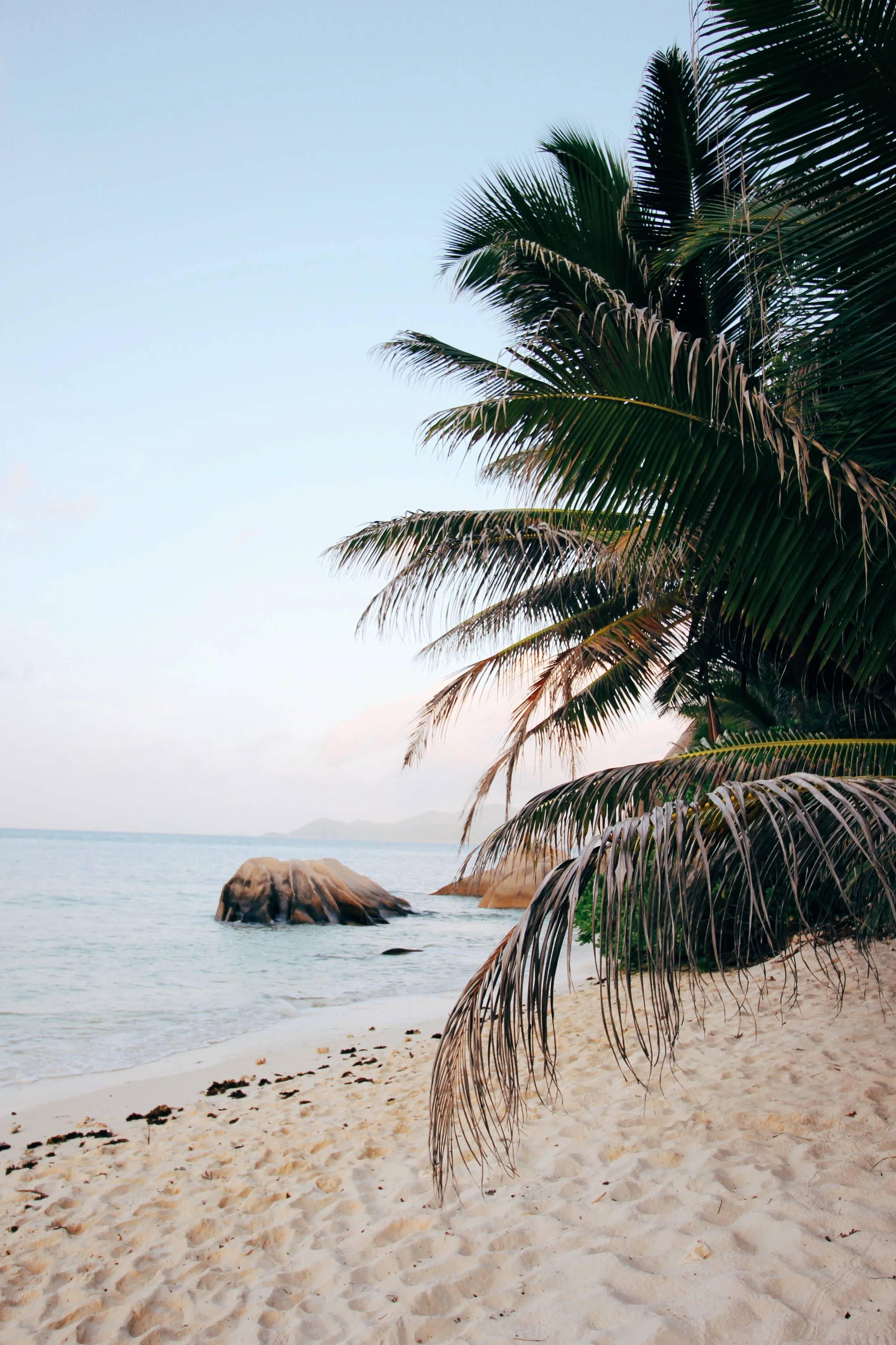 Returning from the Land of Beaches | Seychelles