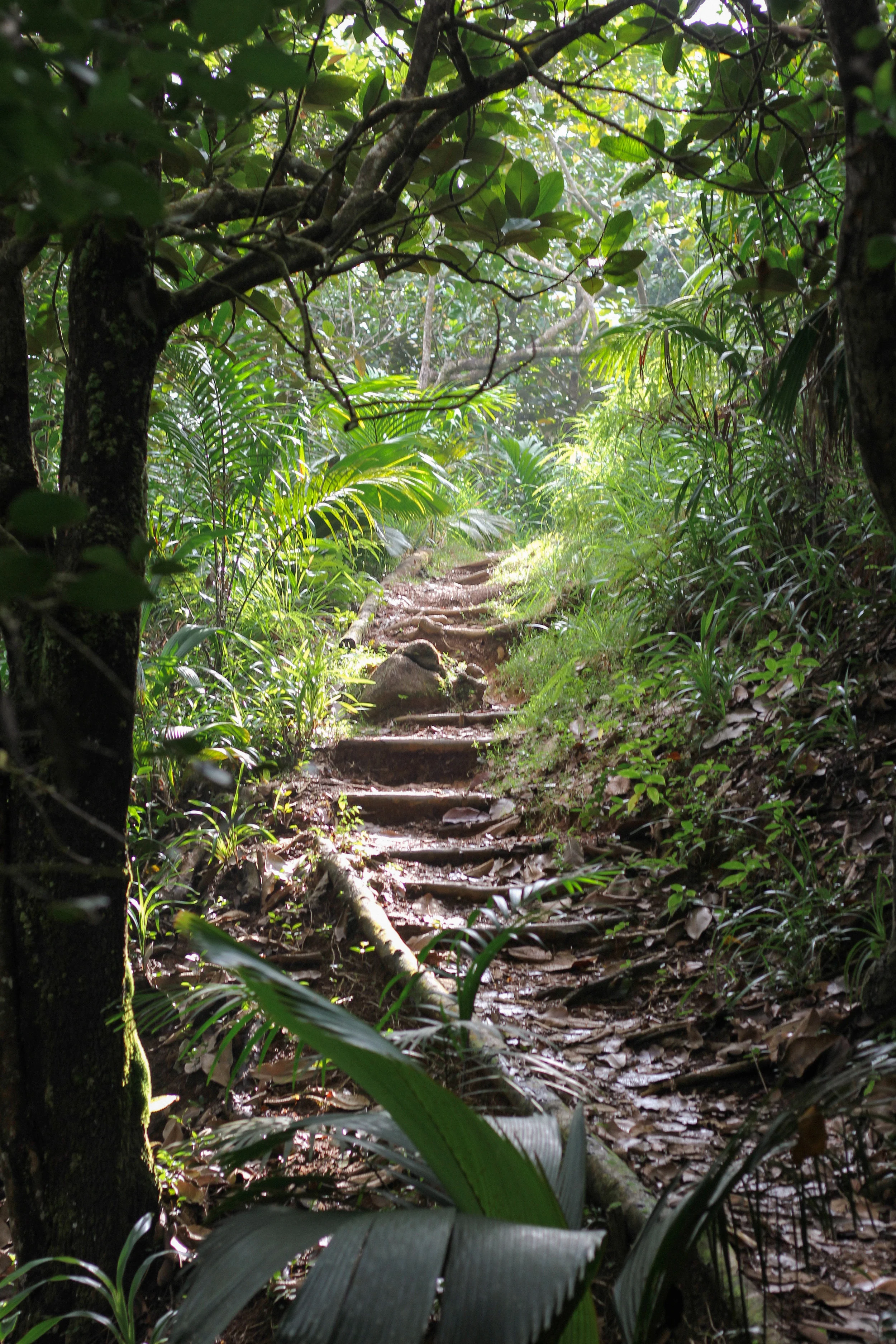 Hiking the Copolia Trail