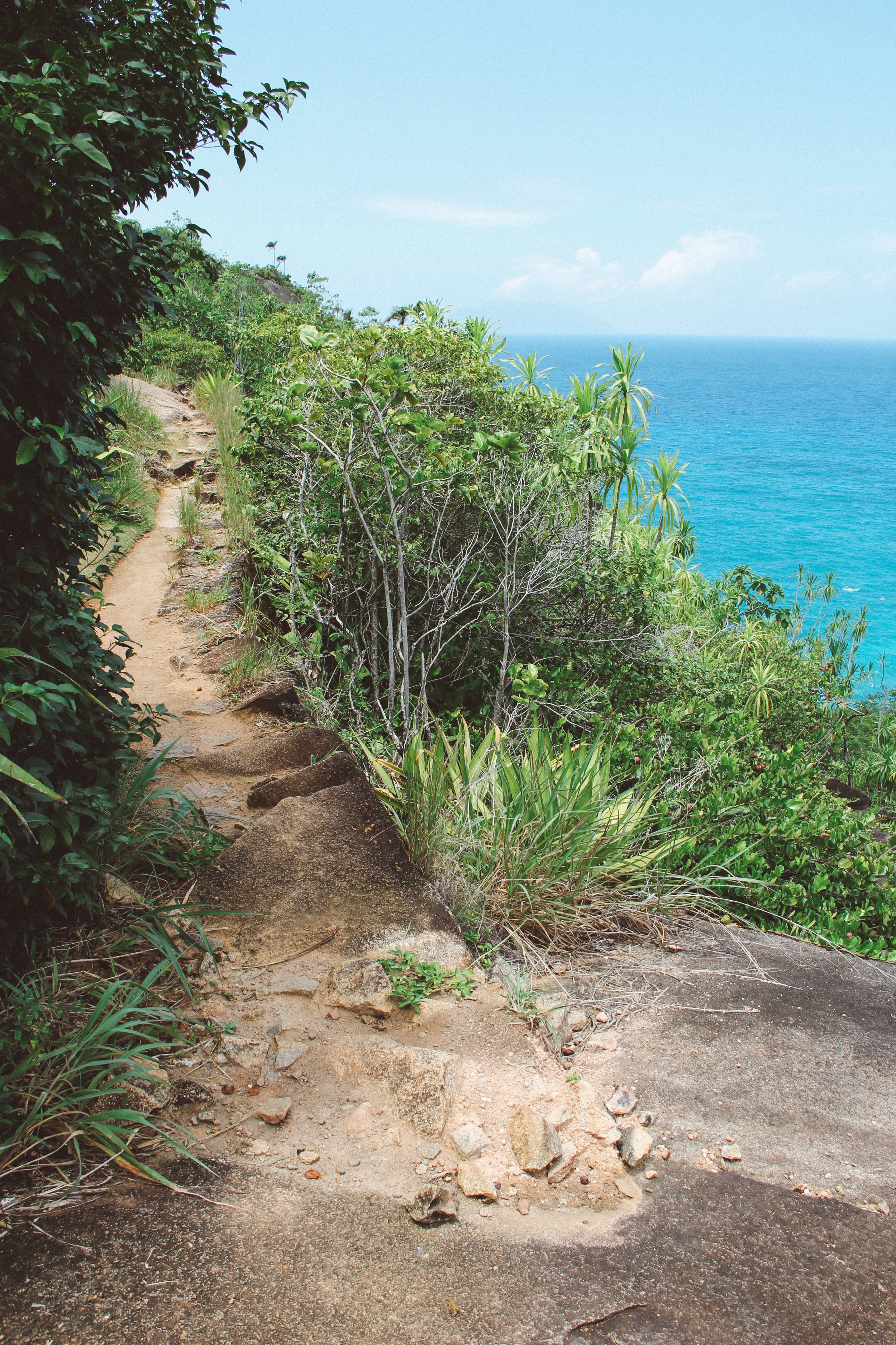 The beginning of Anse Major trail follows the coast