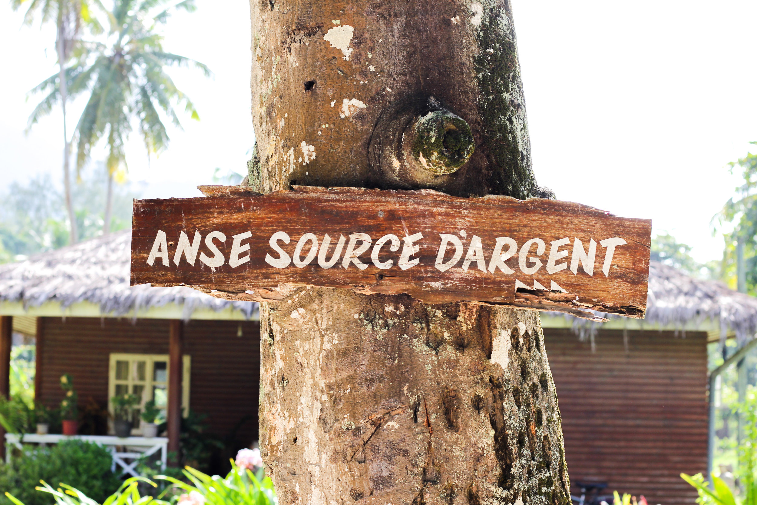 la digue-11.jpg