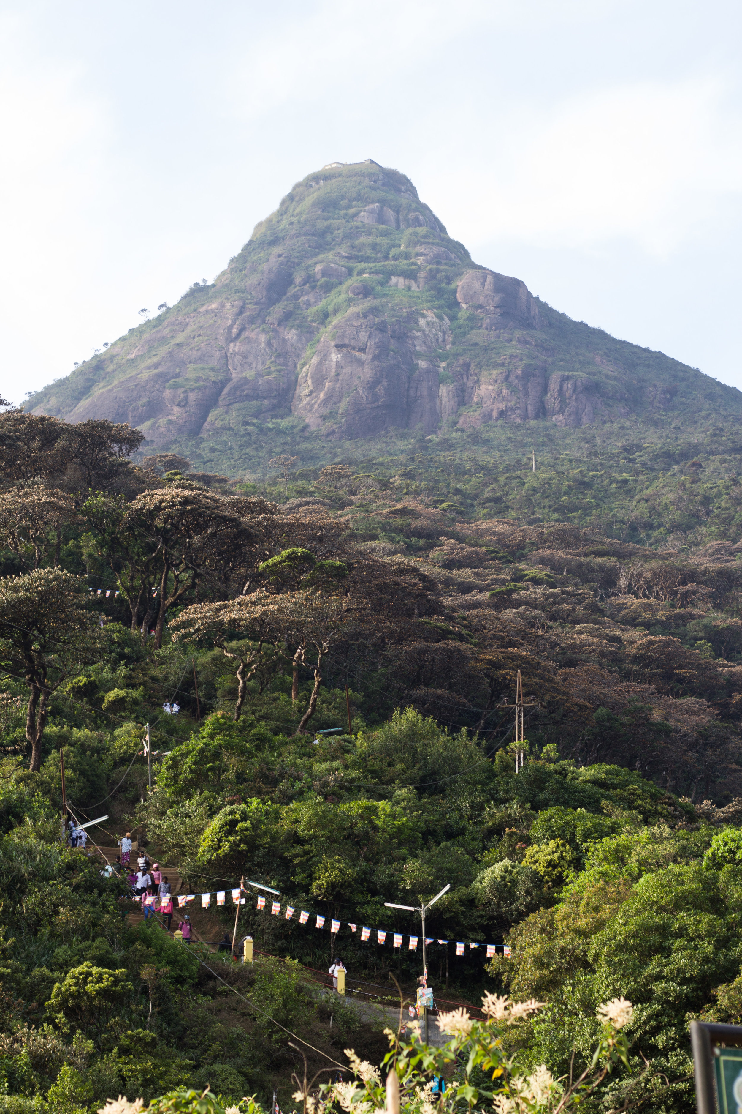 Sri Lanka Adam's Peak-18.jpg