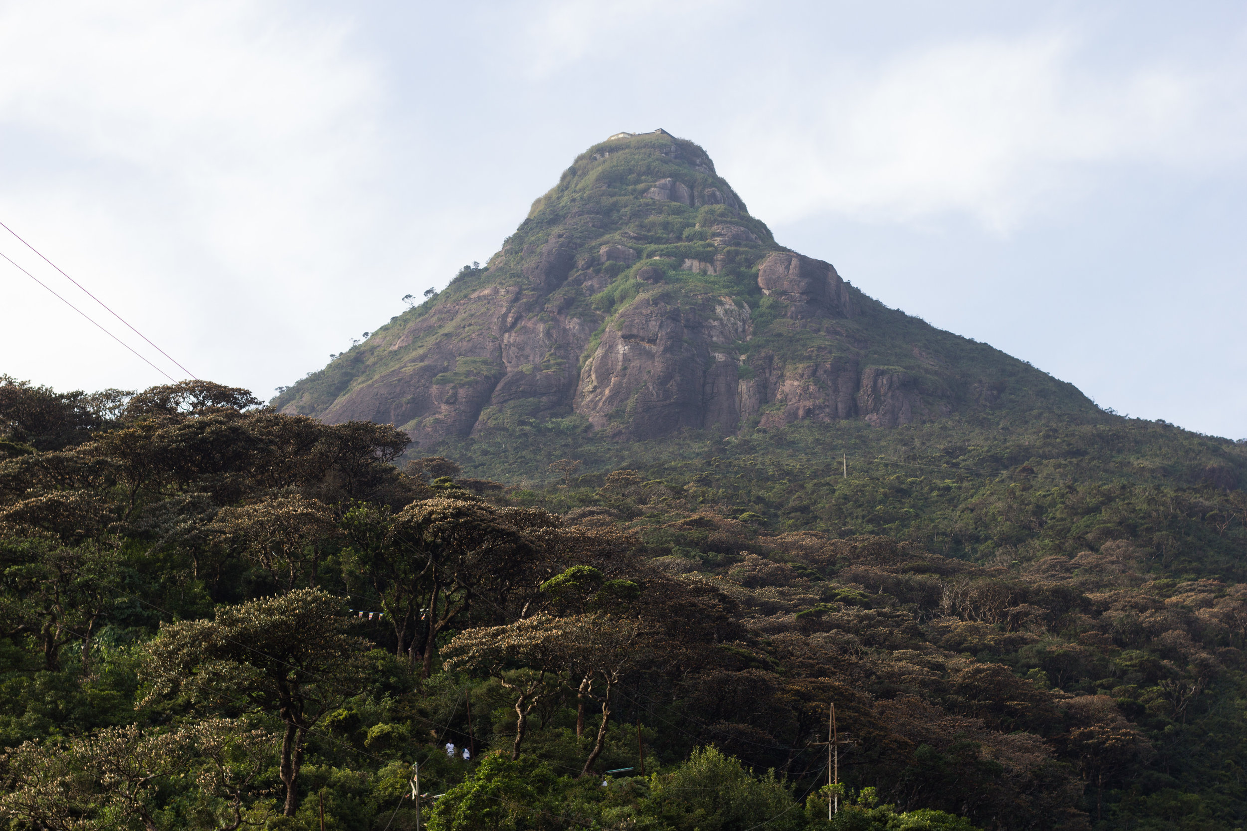 Sri Lanka Adam's Peak-19.jpg