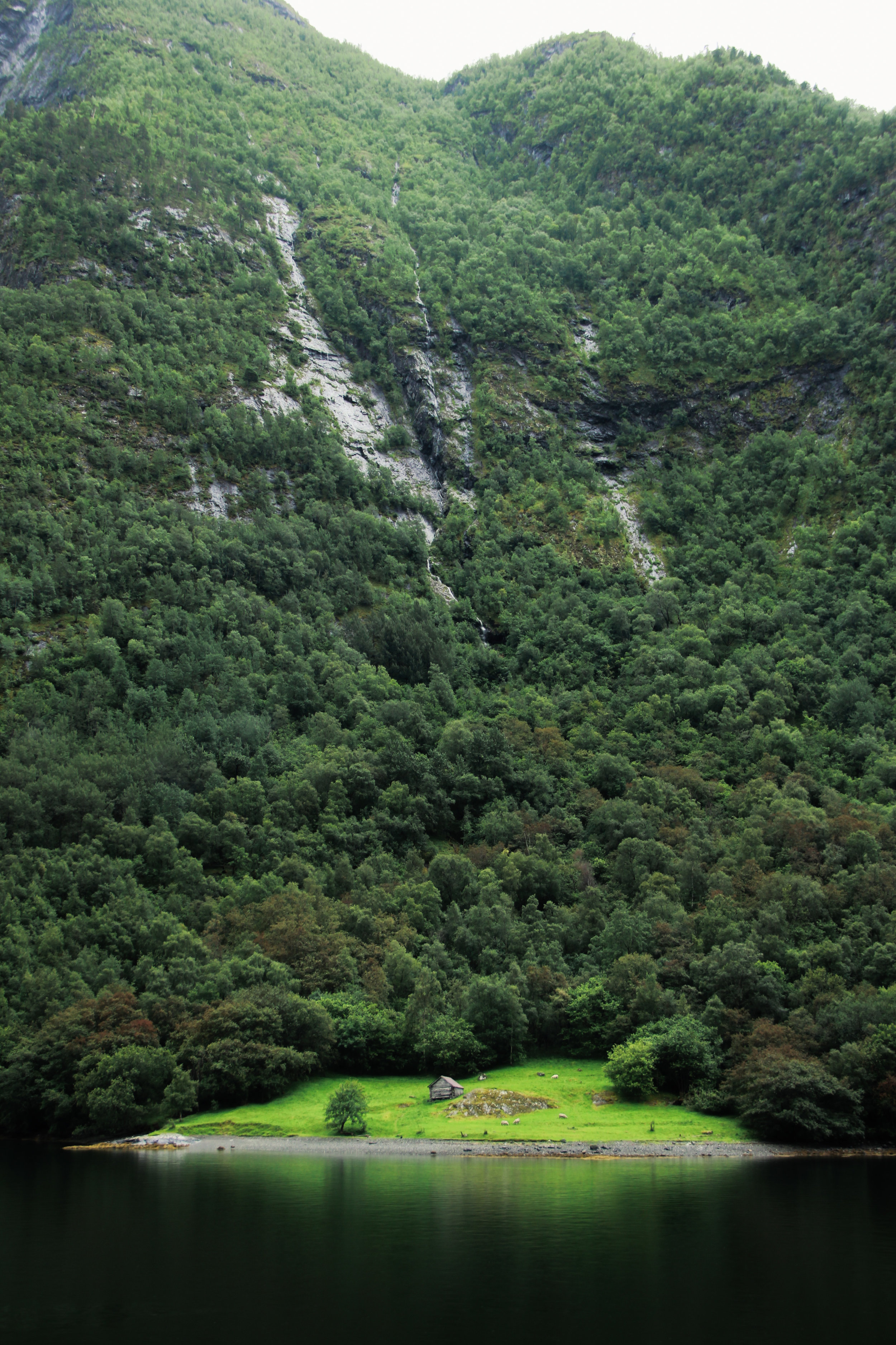 Naeryfjord-23.jpg