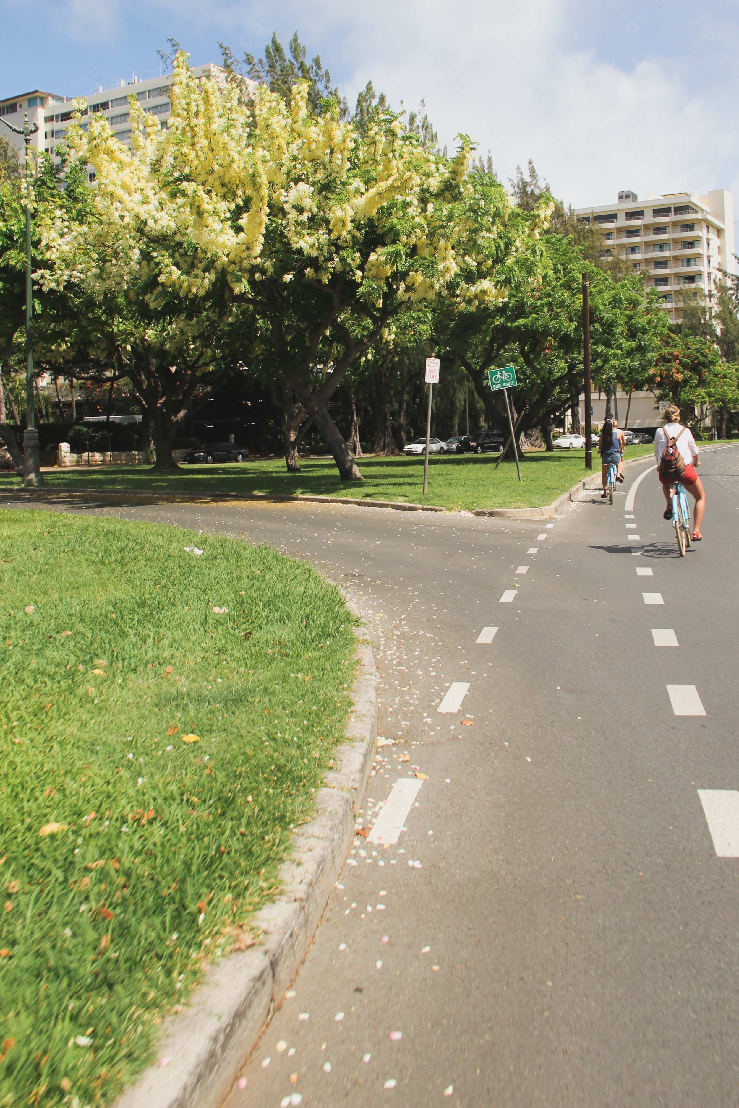 Biking back from Diamondhead Beach on our Surfjack cruisers