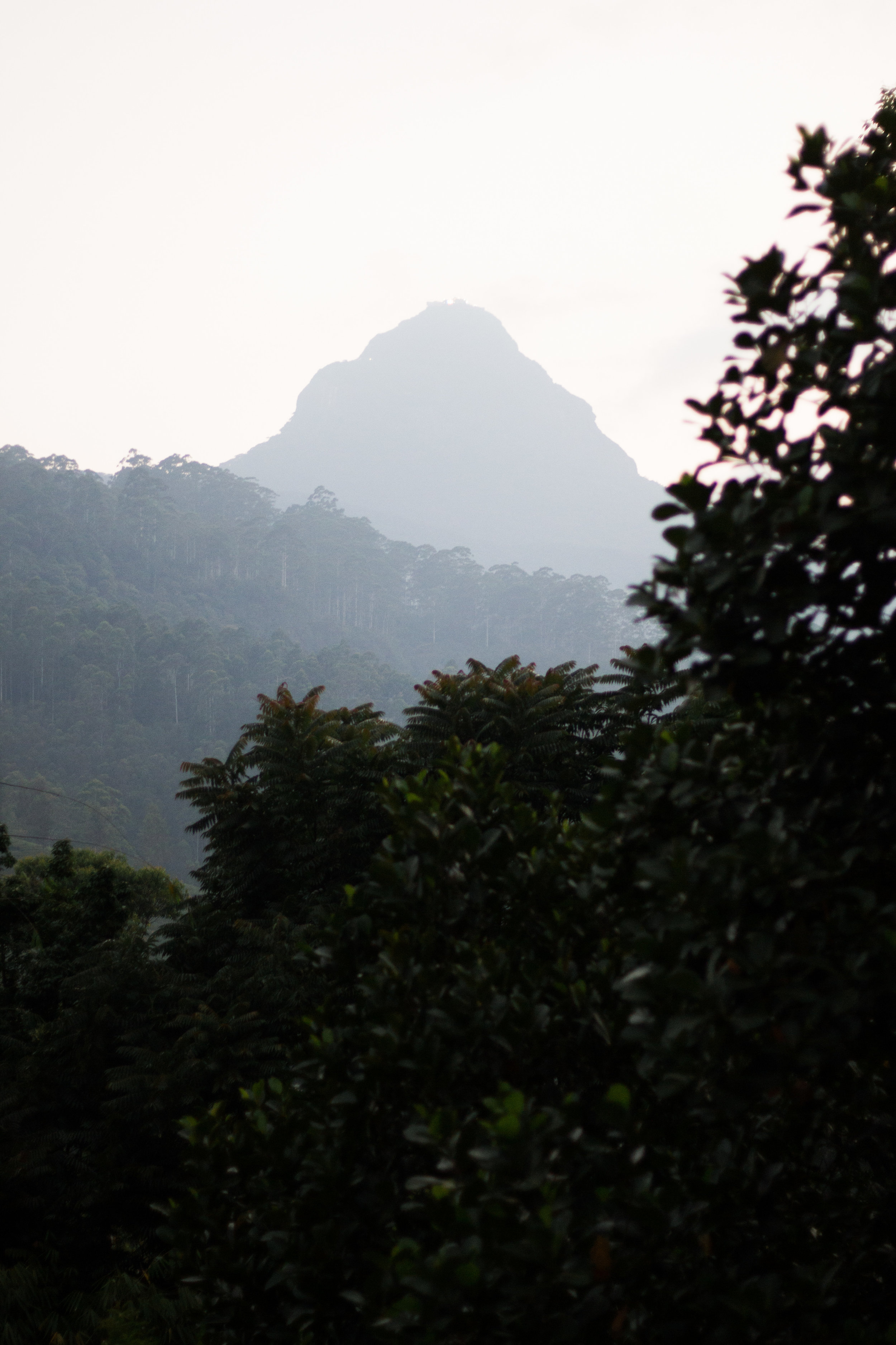 Sri Lanka Adam's Peak-6.jpg