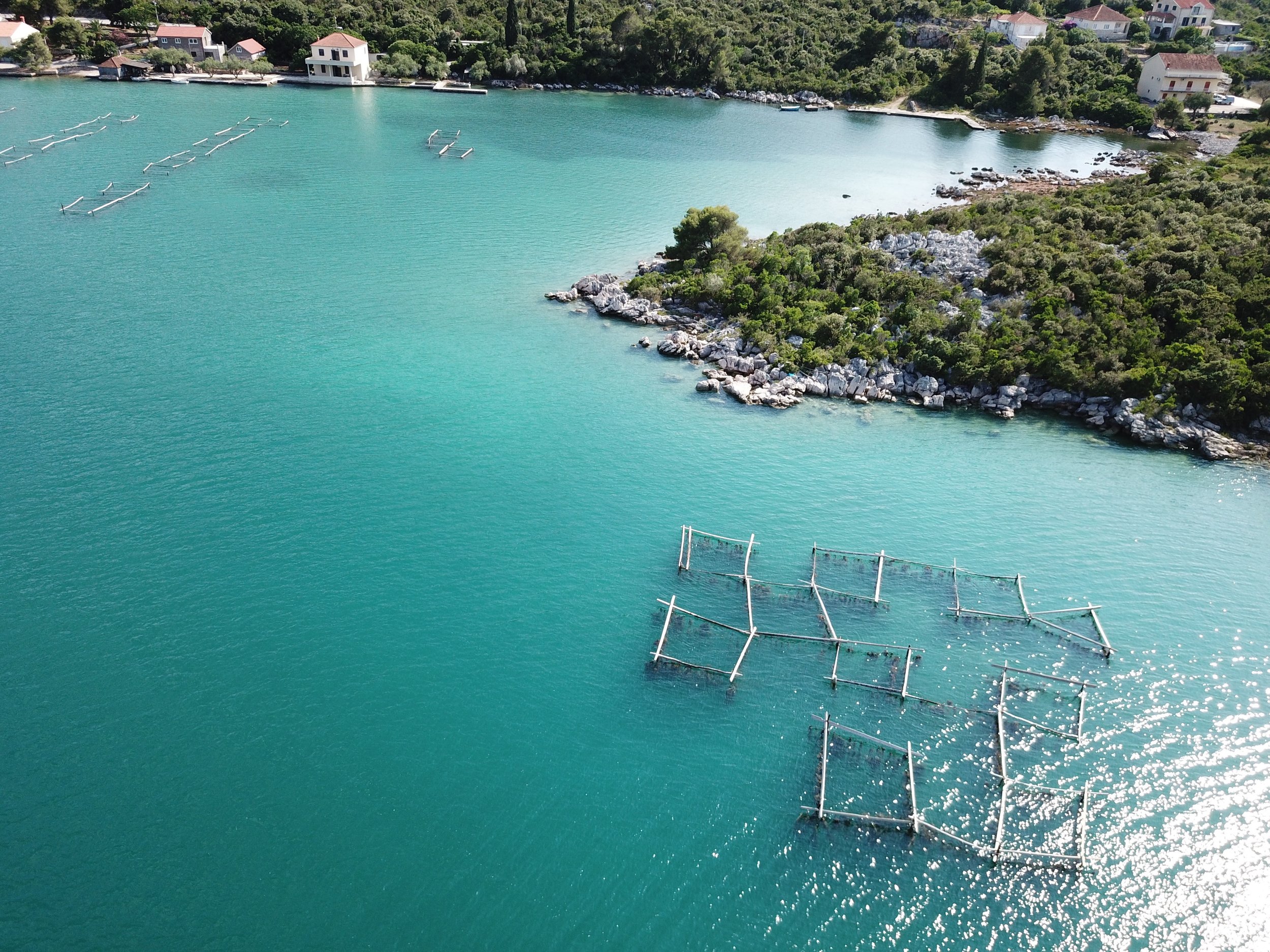 DJI_0101.jpg