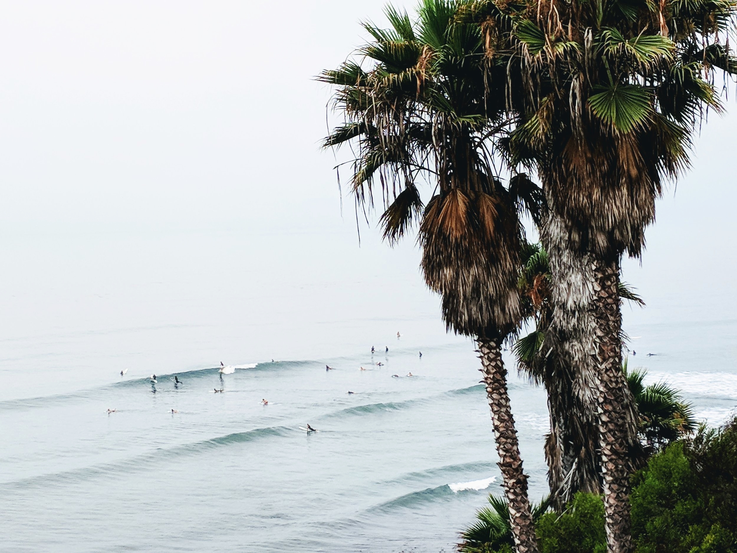 Swami's Marine Layer 1.jpg