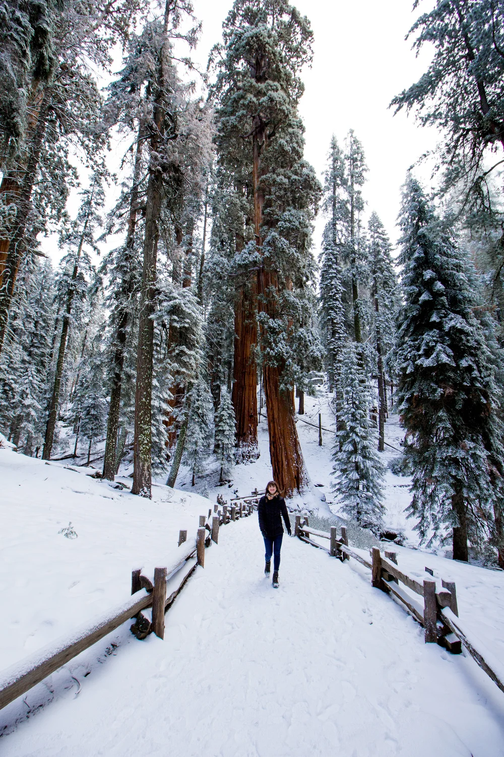 Visiting Kings Canyon & Sequoia National Parks in the Winter — Beyond ...