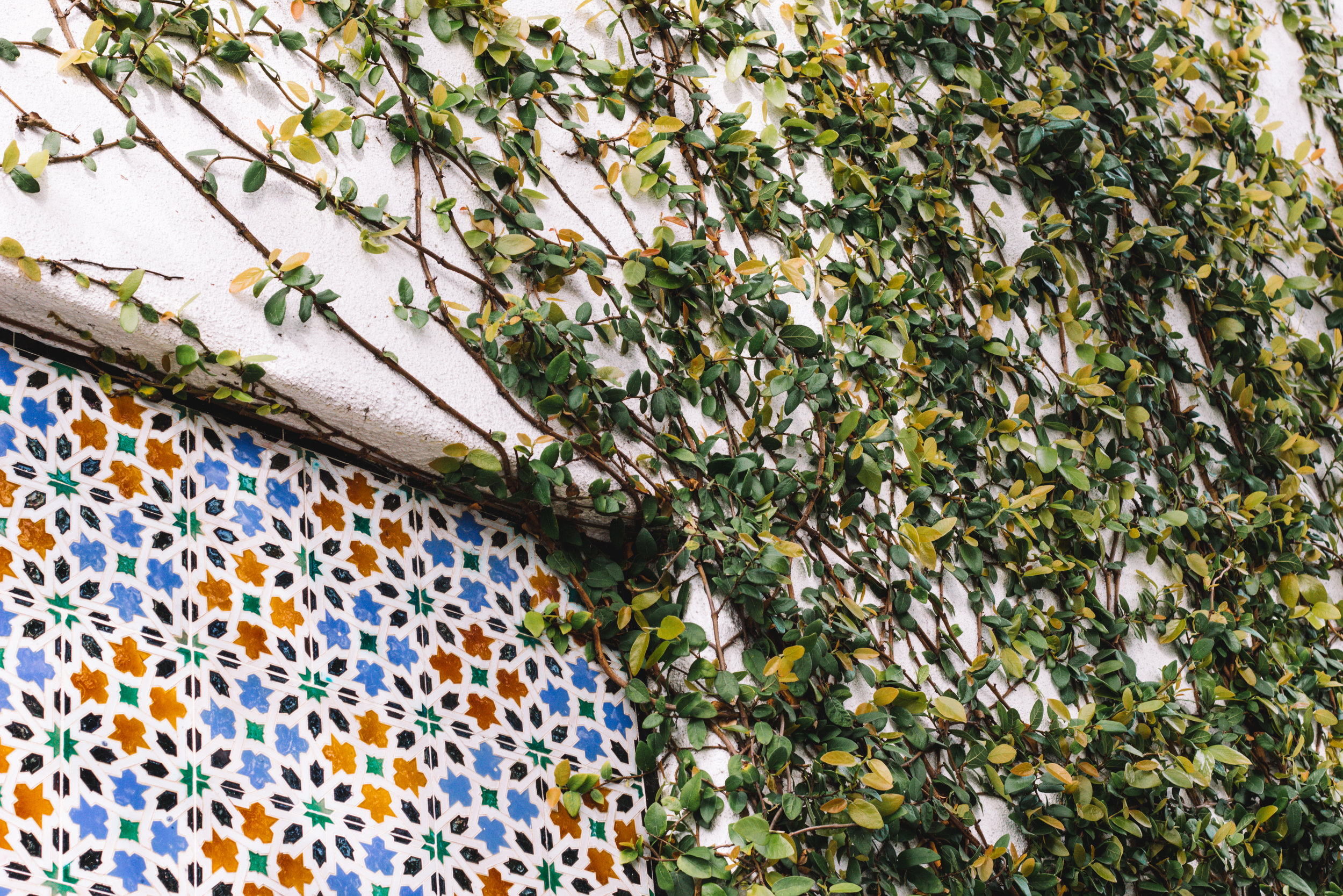 Mexican Tile and Ivy in Carmel, California | Beyond Ordinary Guides