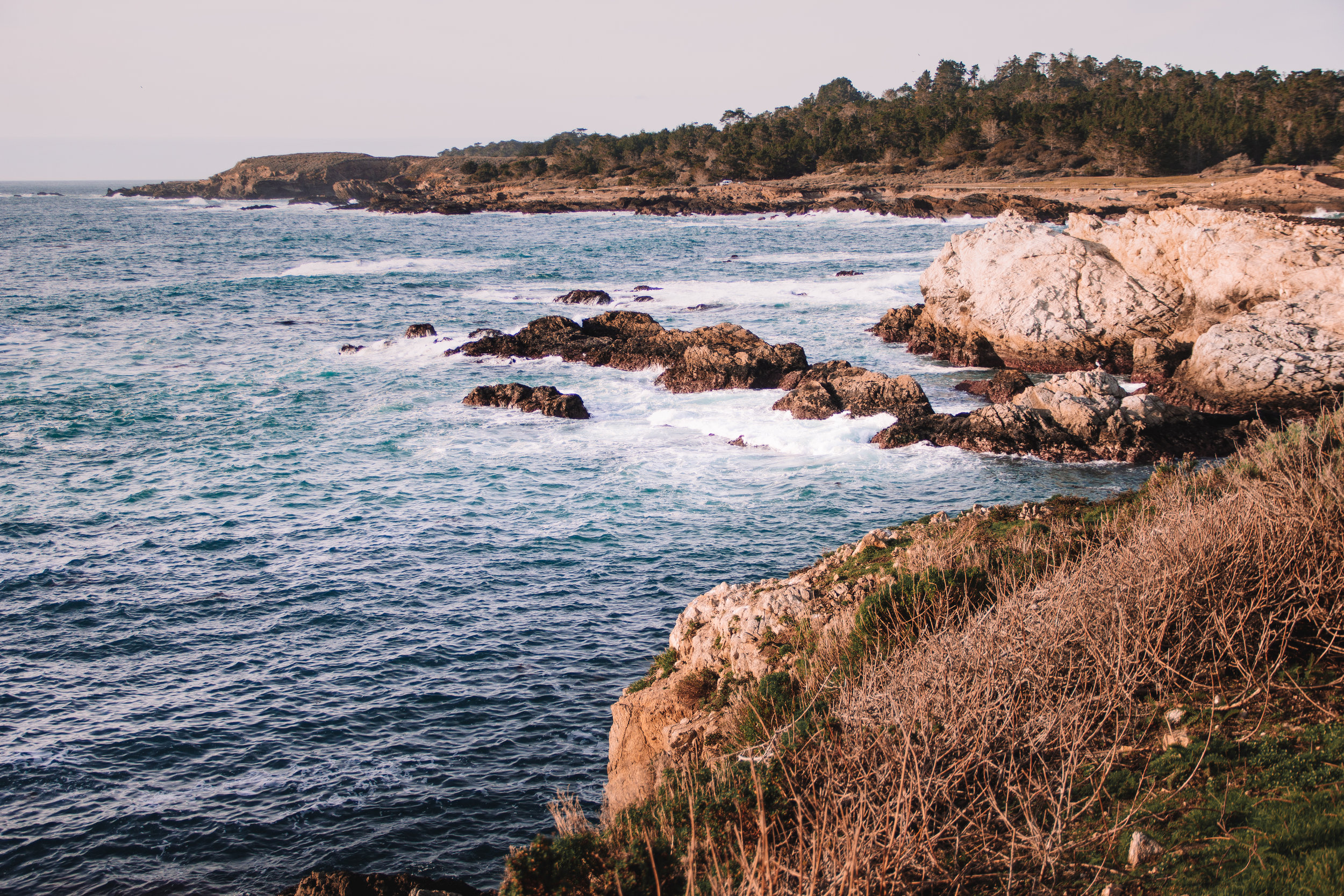 Point Lobos-11.jpg