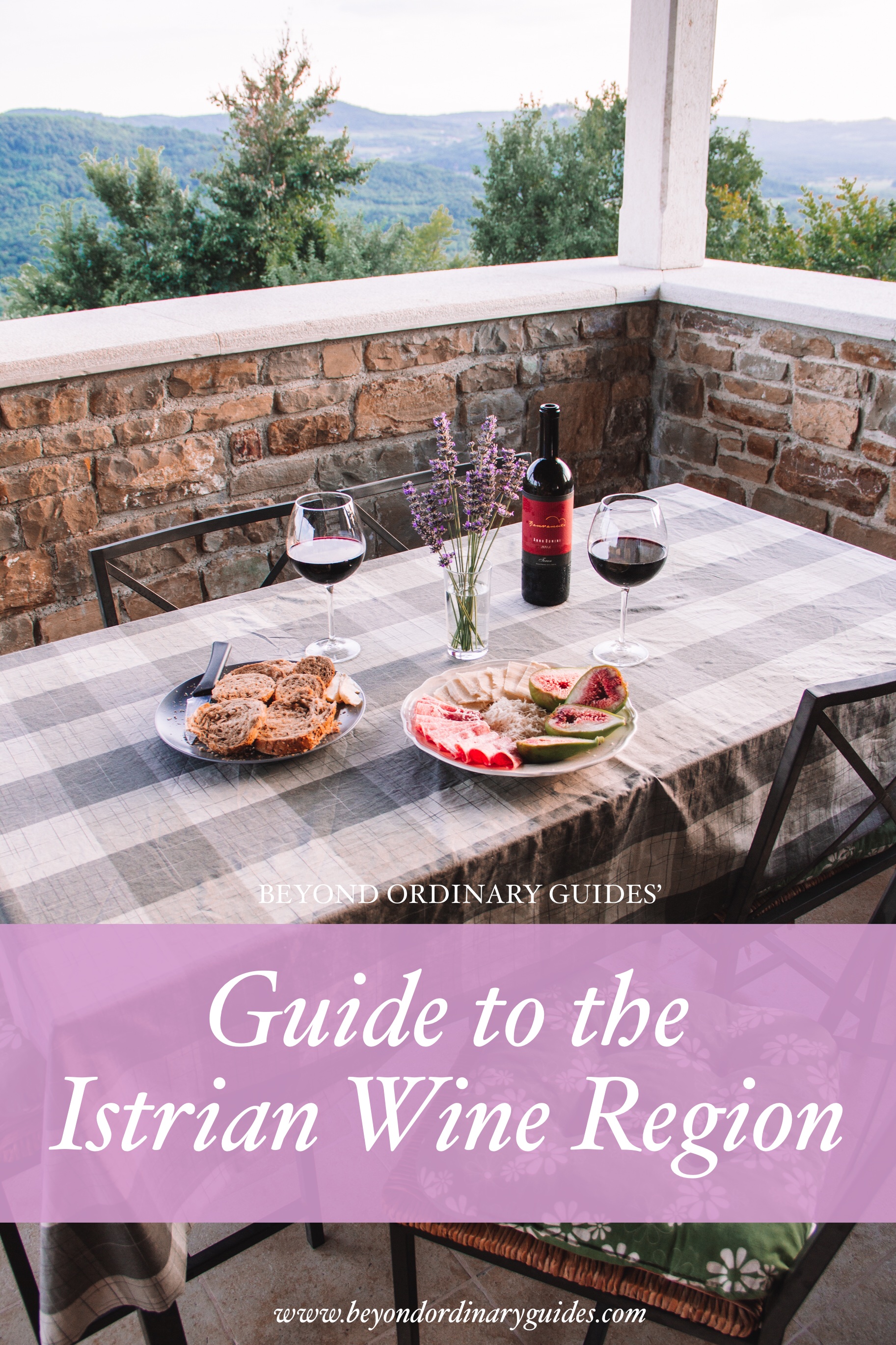 Guide to the Istrian Wine Region.jpg