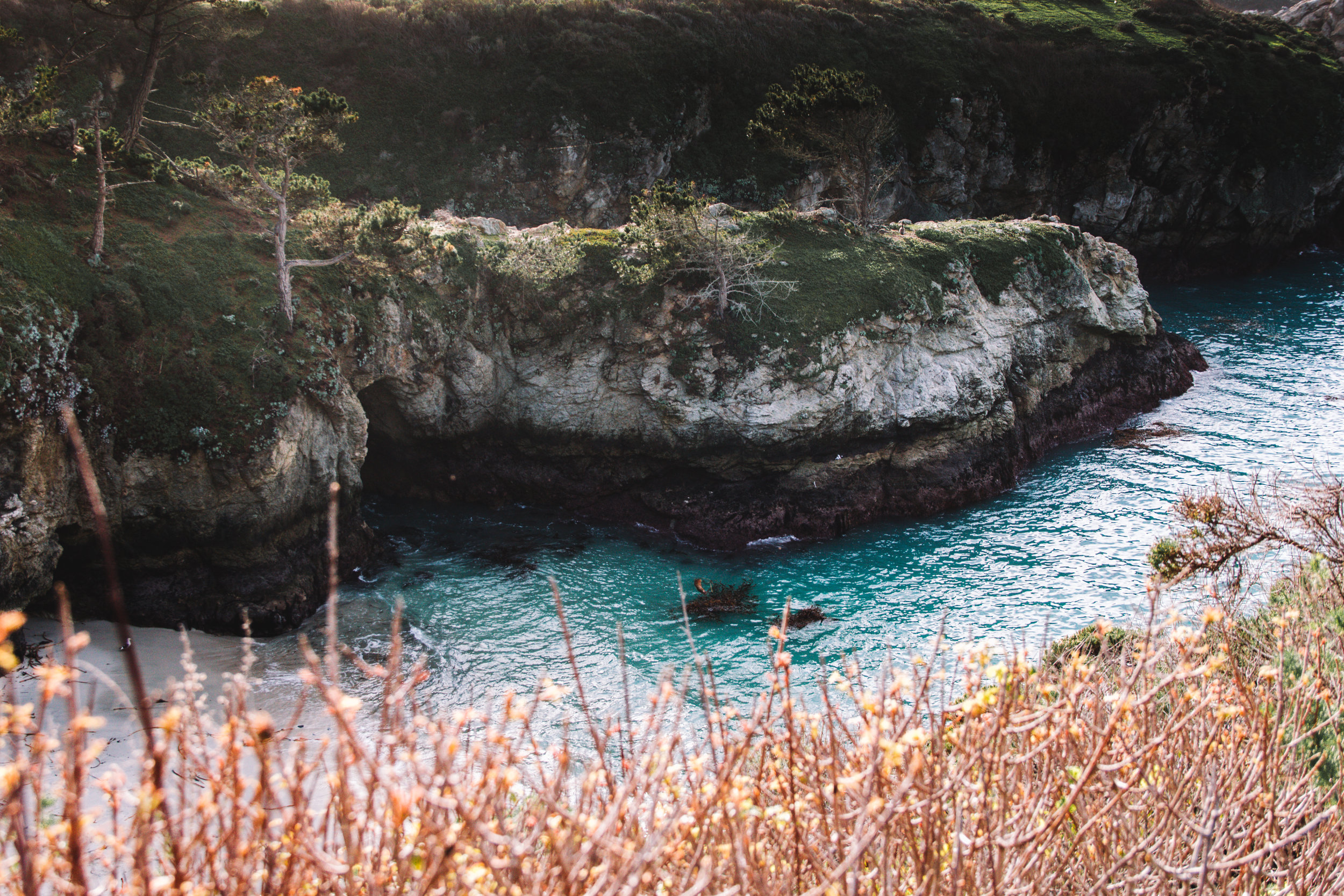 Point Lobos State Reserve &amp; Bixby Bridge | A Photo Journal