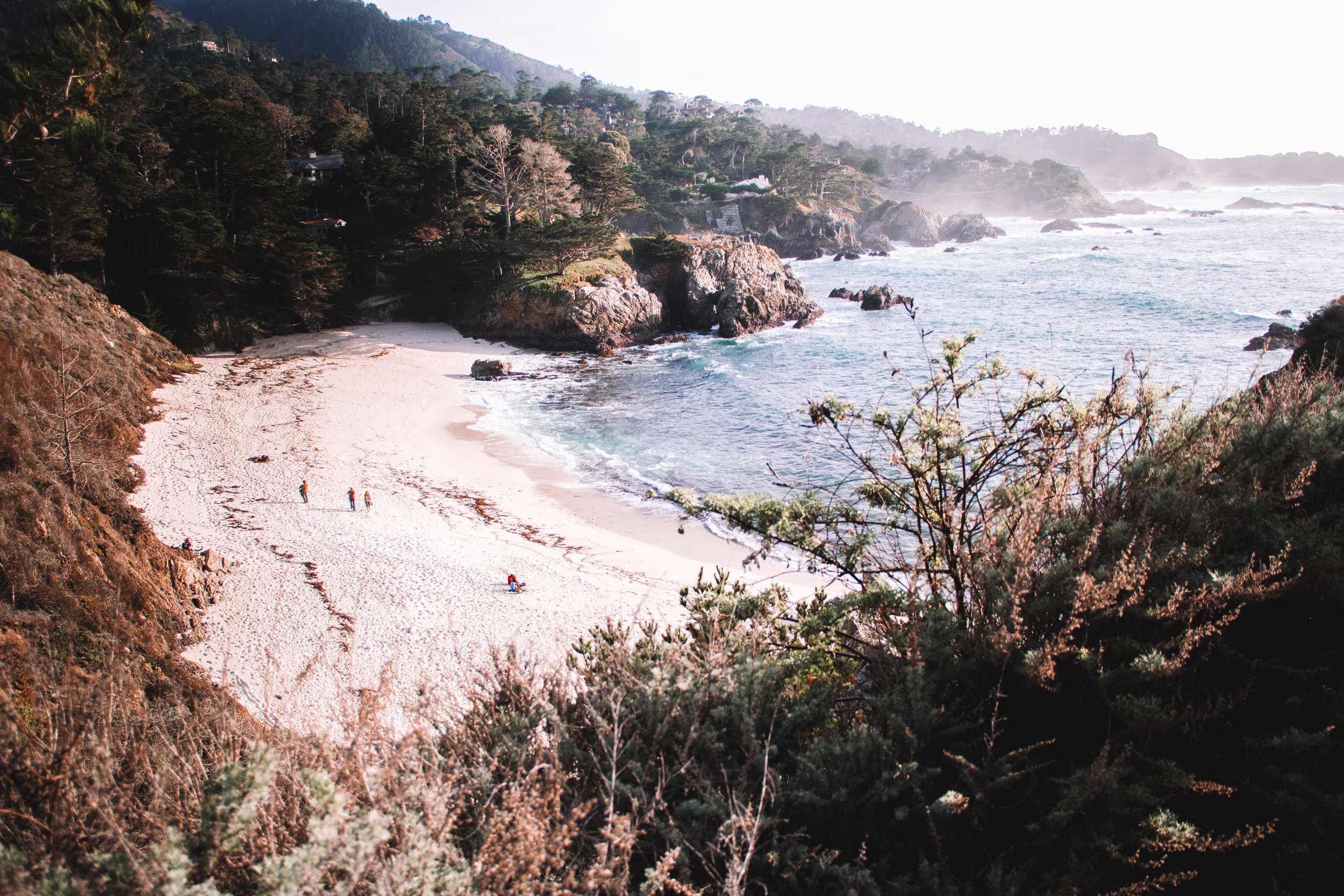 Point Lobos State Reserve &amp; Bixby Bridge | A Photo Journal