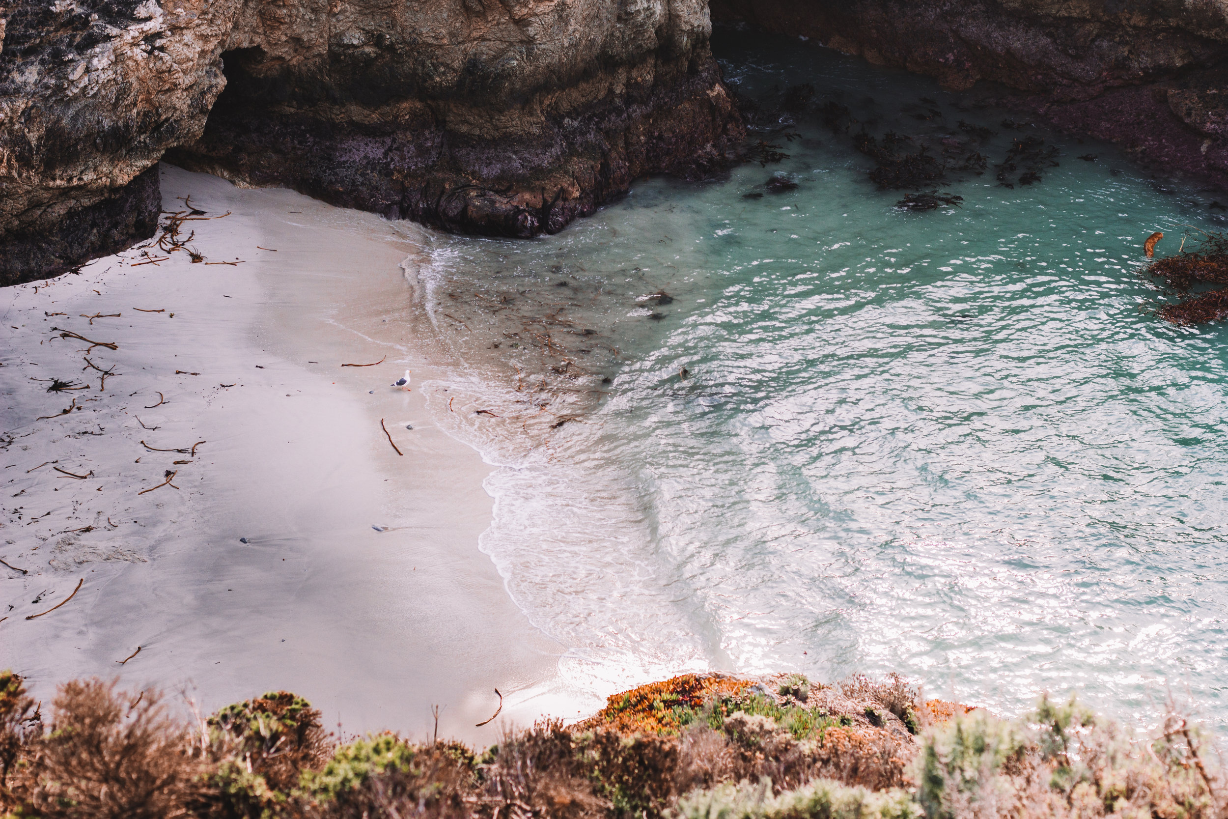 Point Lobos State Reserve &amp; Bixby Bridge | A Photo Journal