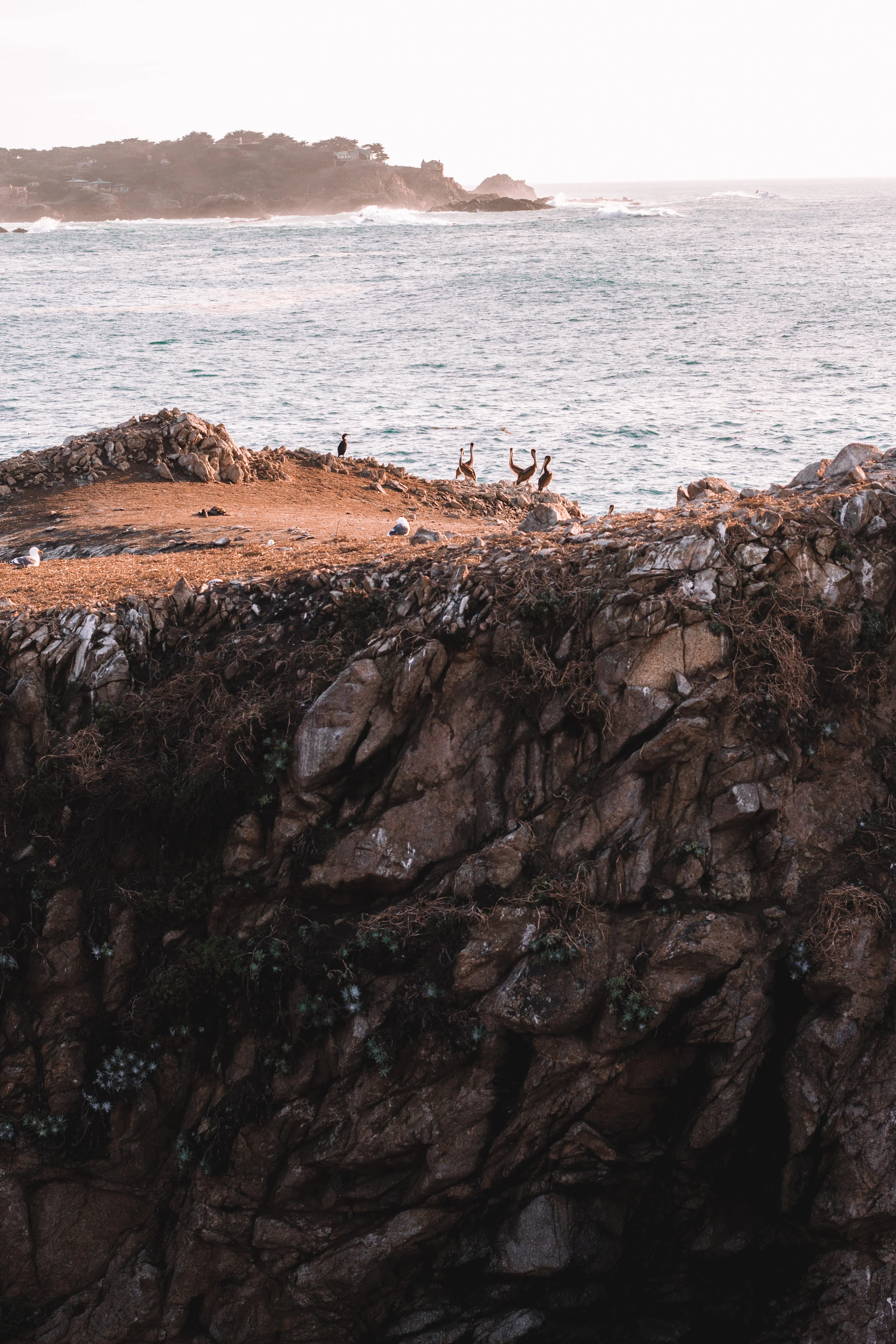 Point Lobos State Reserve & Bixby Bridge | A Photo Journal