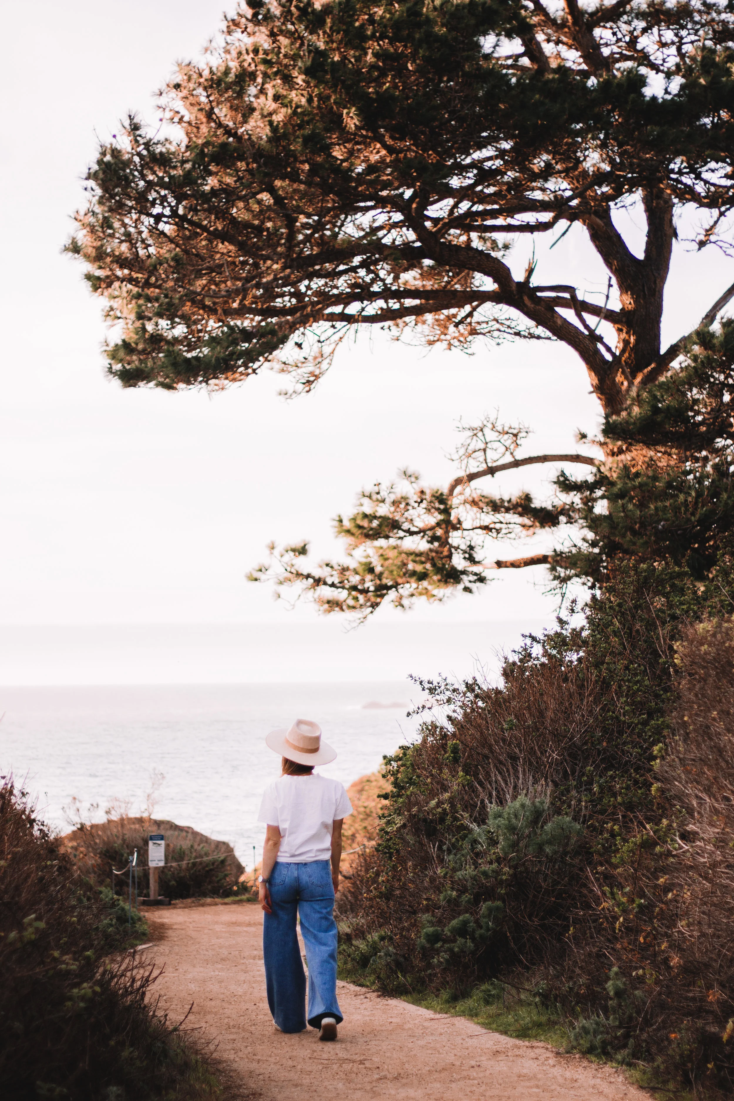 Point Lobos State Reserve & Bixby Bridge | A Photo Journal