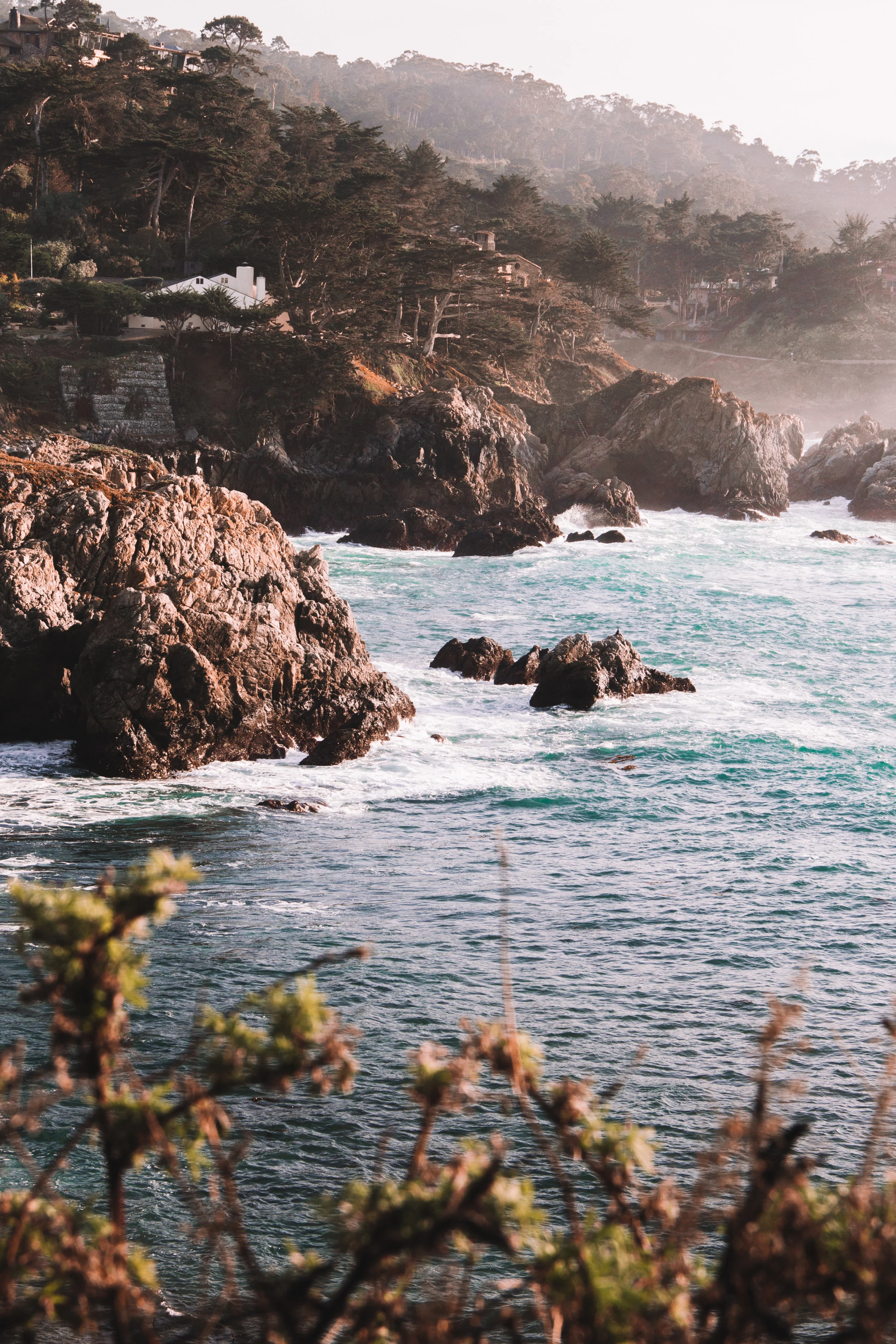 Point Lobos State Reserve & Bixby Bridge | A Photo Journal