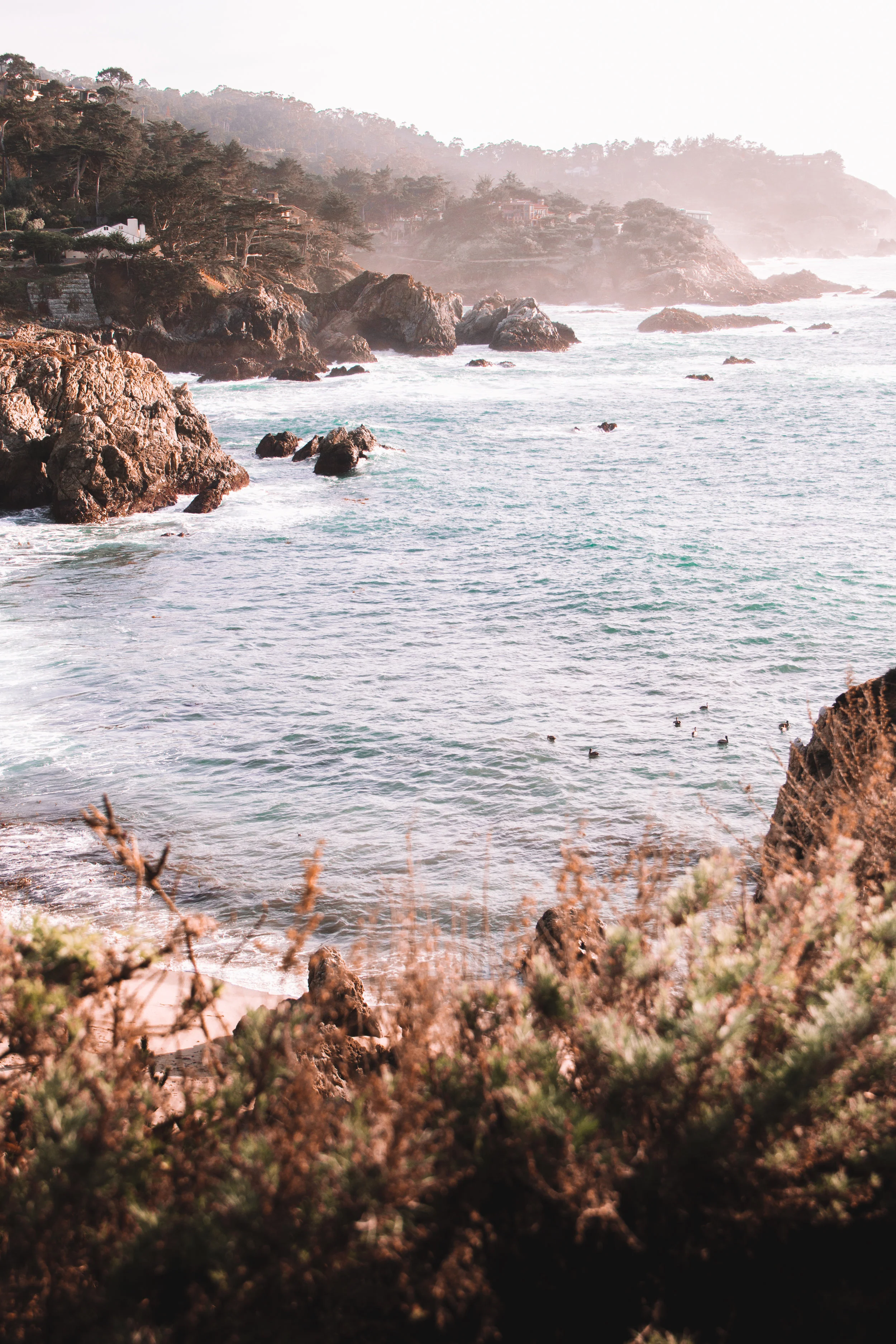 Point Lobos State Reserve & Bixby Bridge | A Photo Journal