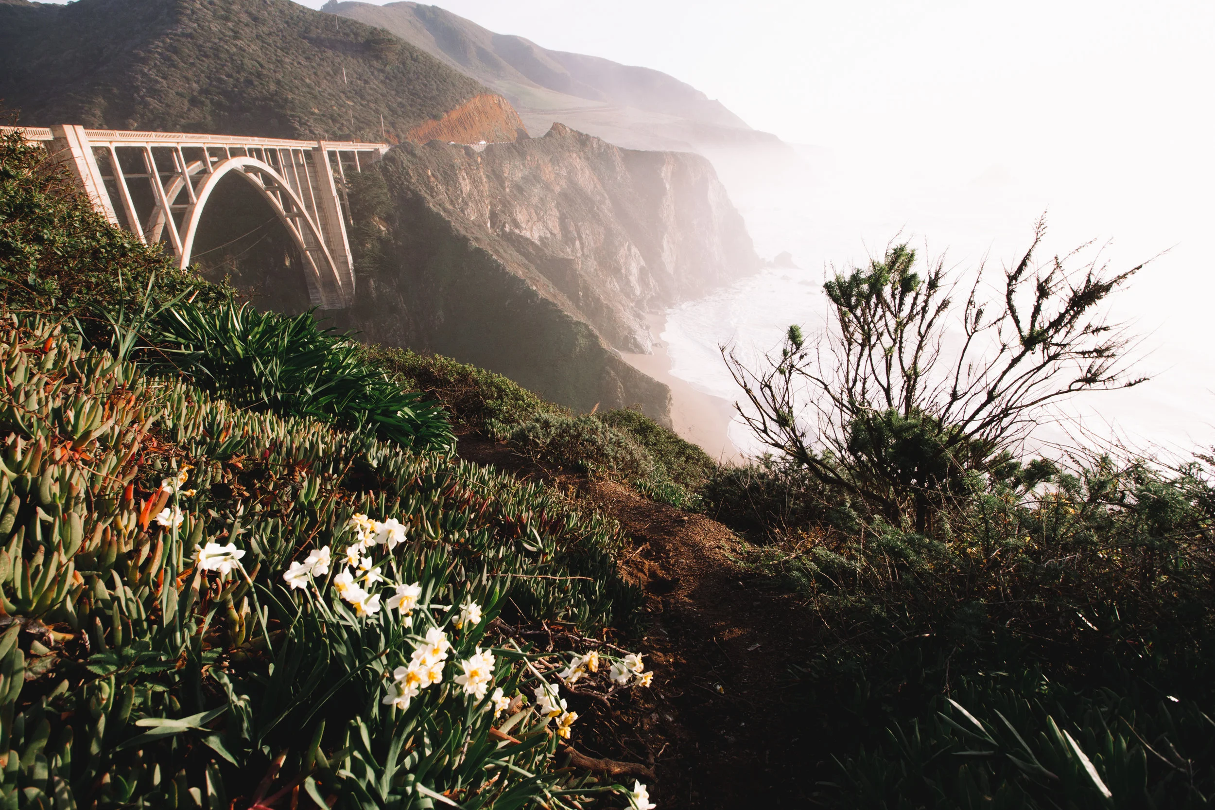 Point Lobos State Reserve & Bixby Bridge | A Photo Journal
