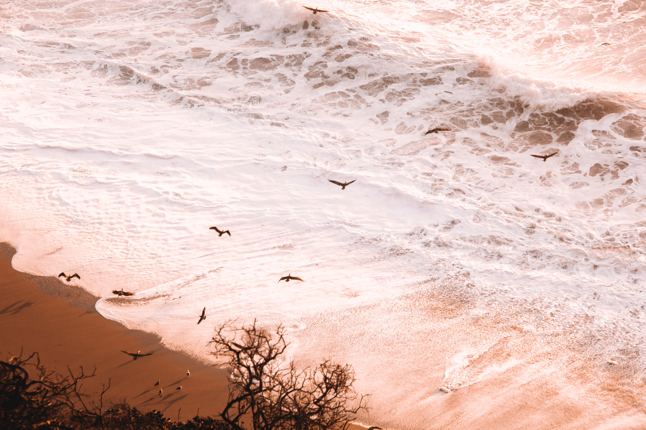 Point Lobos State Reserve &amp; Bixby Bridge | A Photo Journal