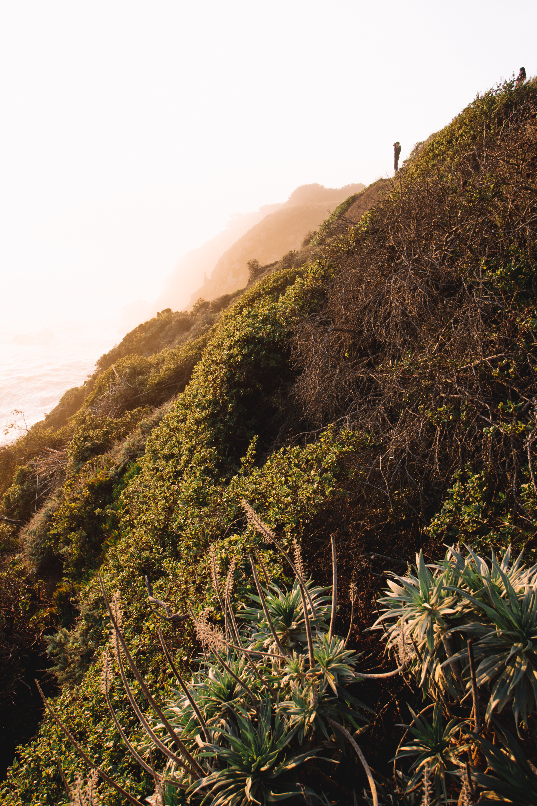 Bixby Bridge-10.jpg