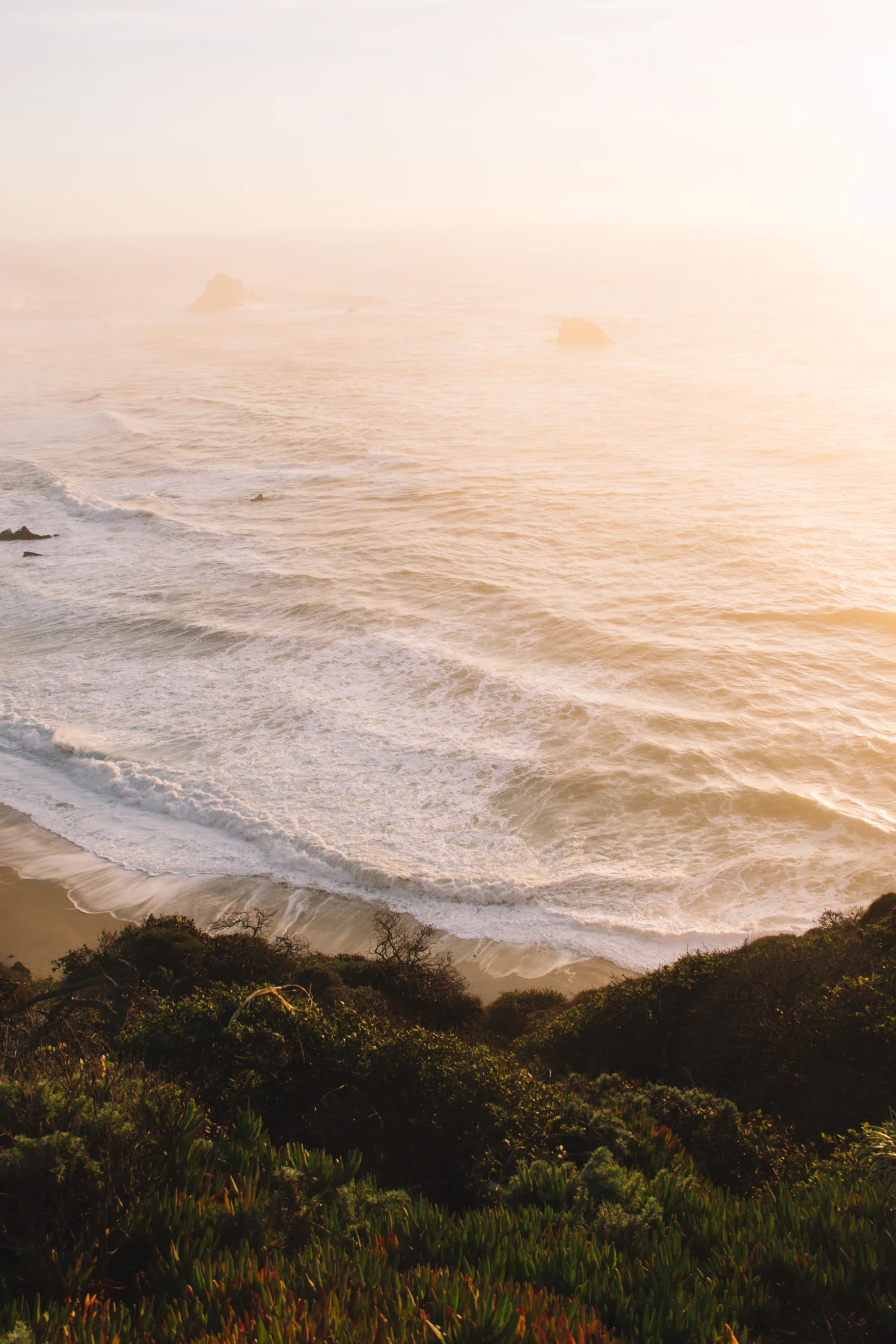 Point Lobos State Reserve & Bixby Bridge | A Photo Journal