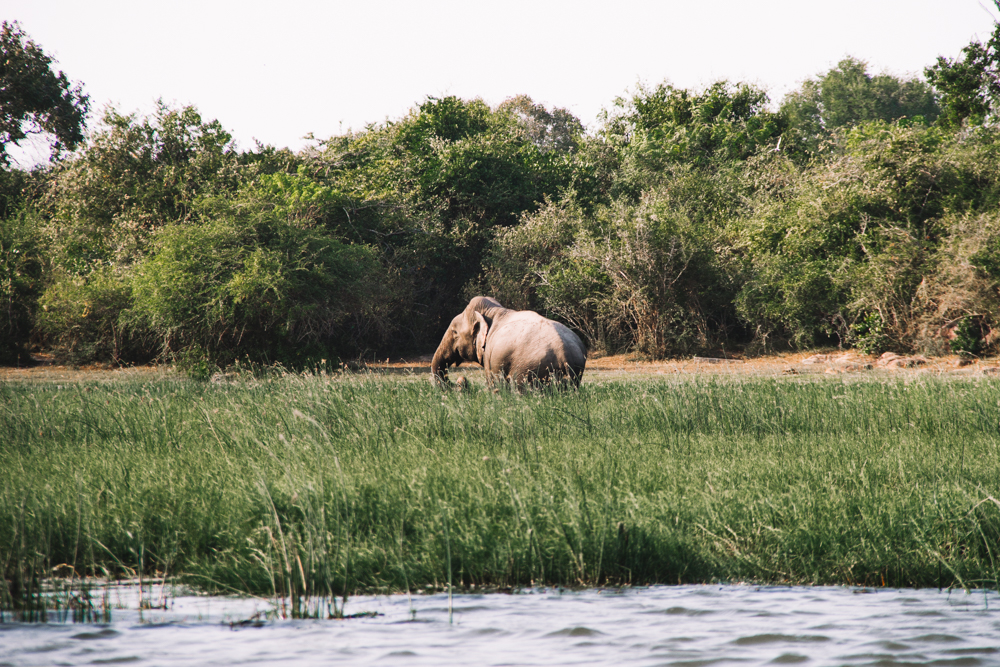 A Guide to the Laid Back Surf Town of Arugam Bay | Sri Lanka-45.jpg