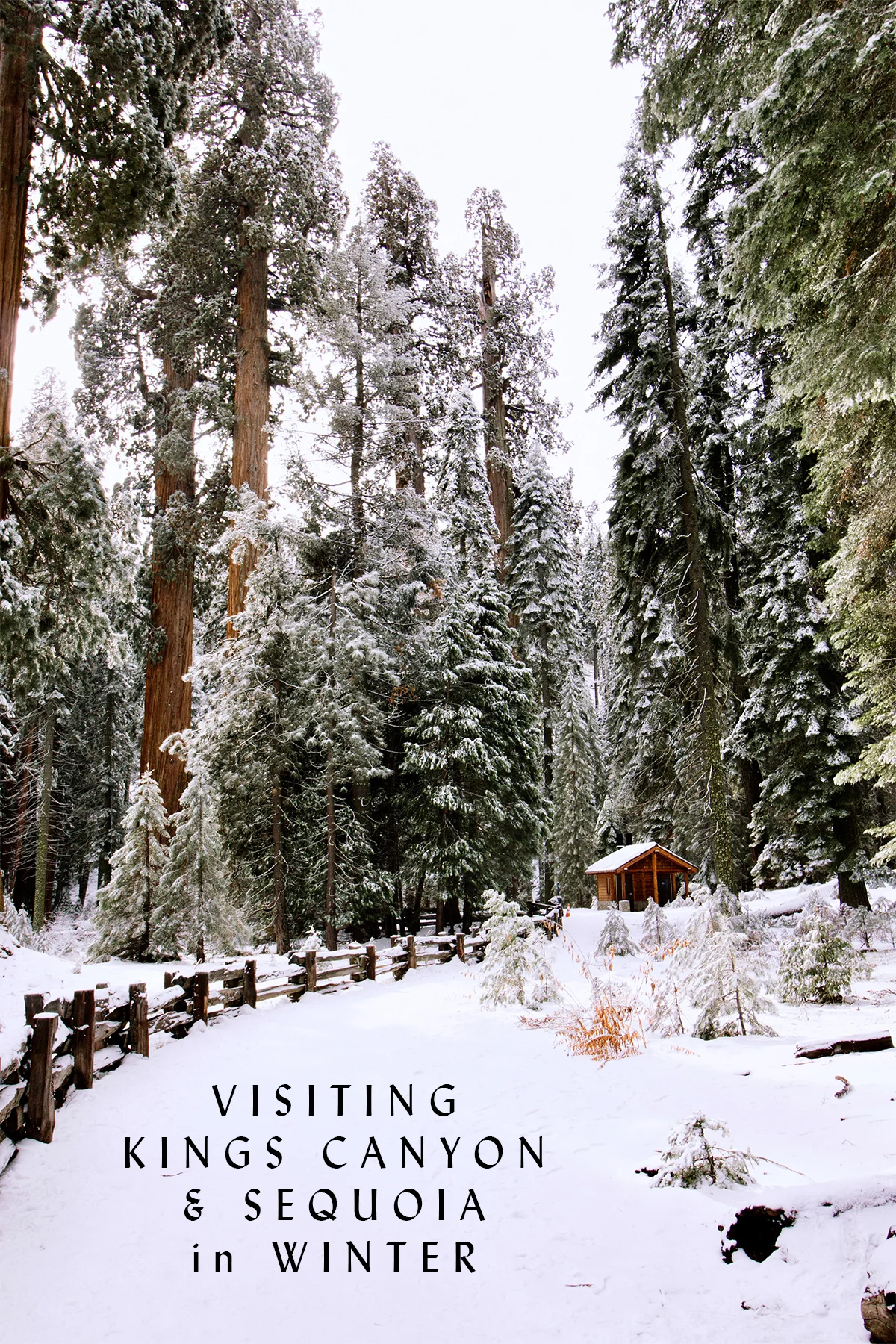 Visiting Kings Canyon and Sequoia in Winter.jpg