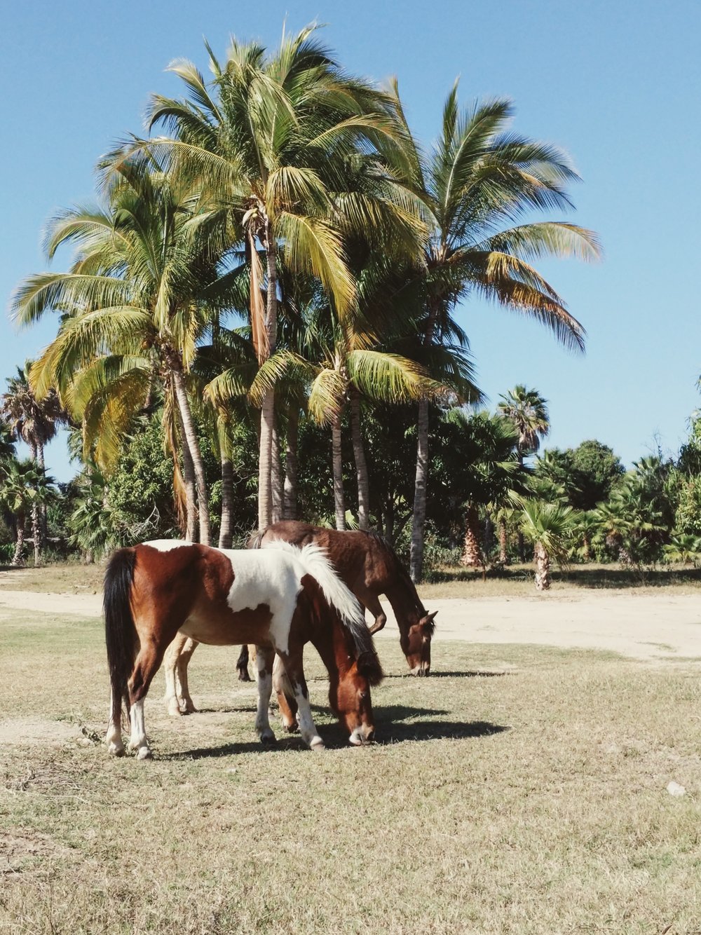 Around Todos Santos