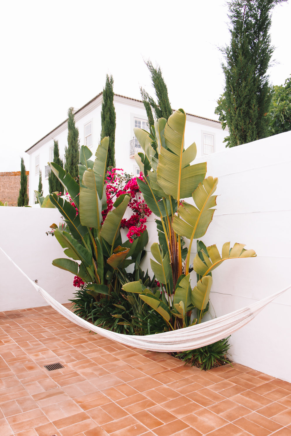 Hammok and banana plants on our private patio