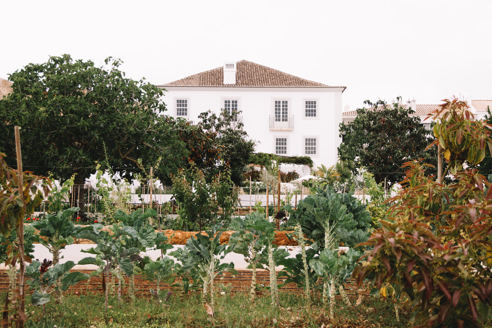 The organic garden of Casa Mae lives in the middle of the property and is a source for their restaurant, Orta