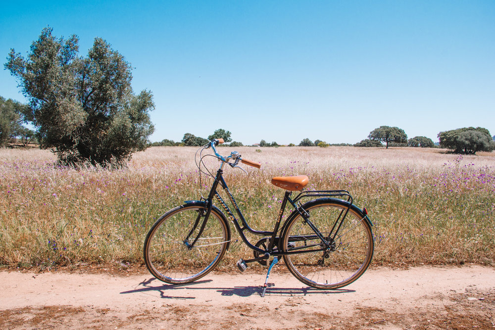 Stopping for a break on our bike around the Sao Lourenco do Barrocal estate on one of their complimentary bicycles