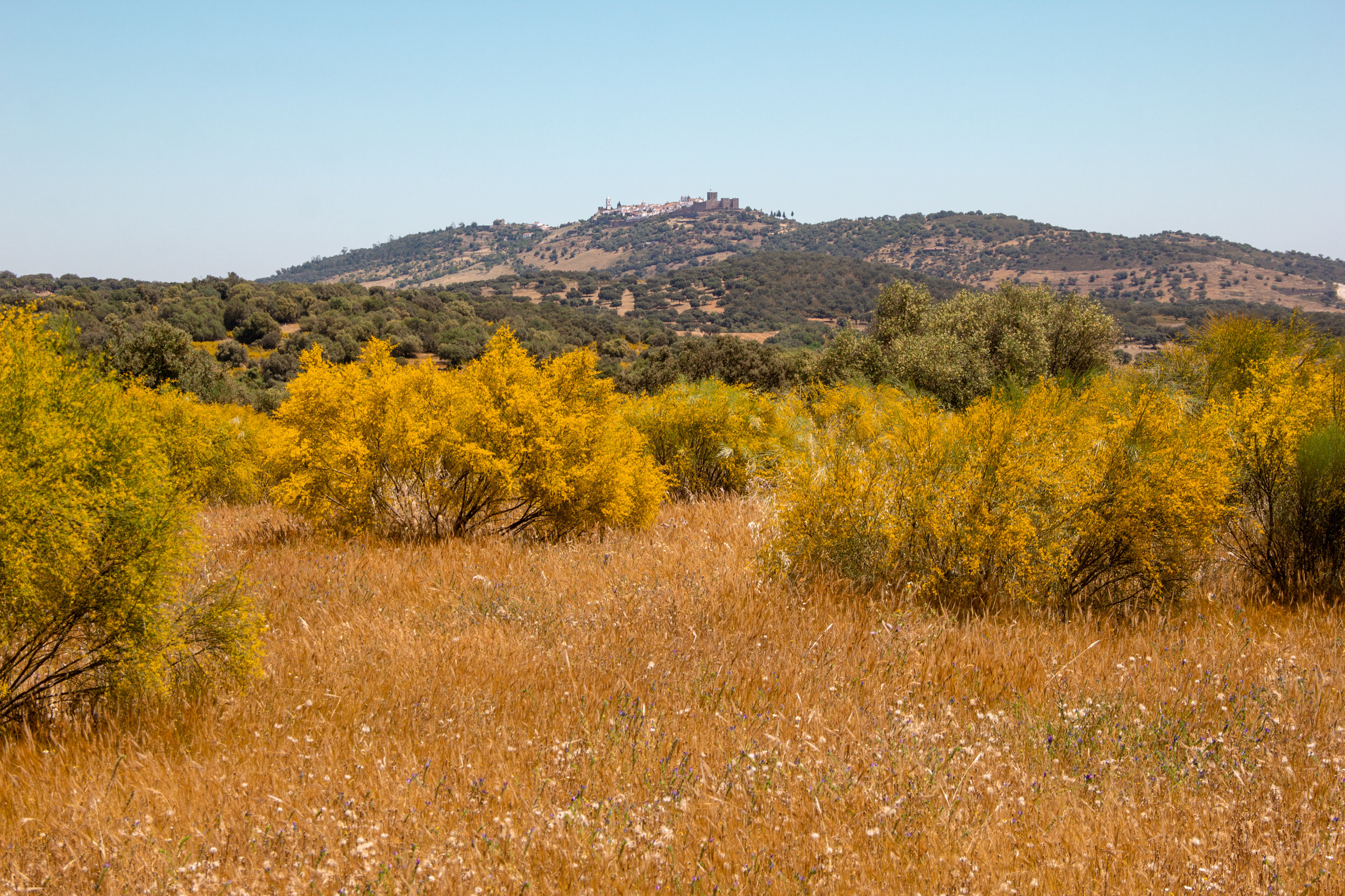 View of Monsaraz, Portugal from Sao Lourenco do Barrocal