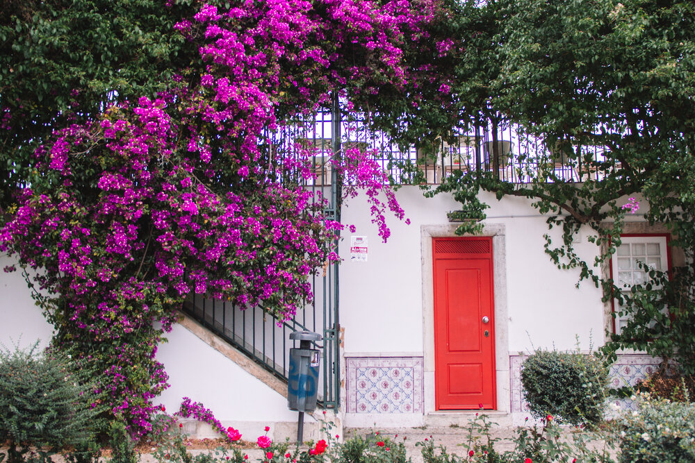 A red door and bougainvillea in the park at Miradouro de Santa Luzia viewpoint