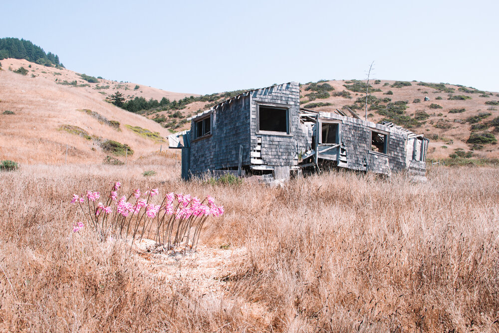 An abandoned home past Sea Lion Gulch 