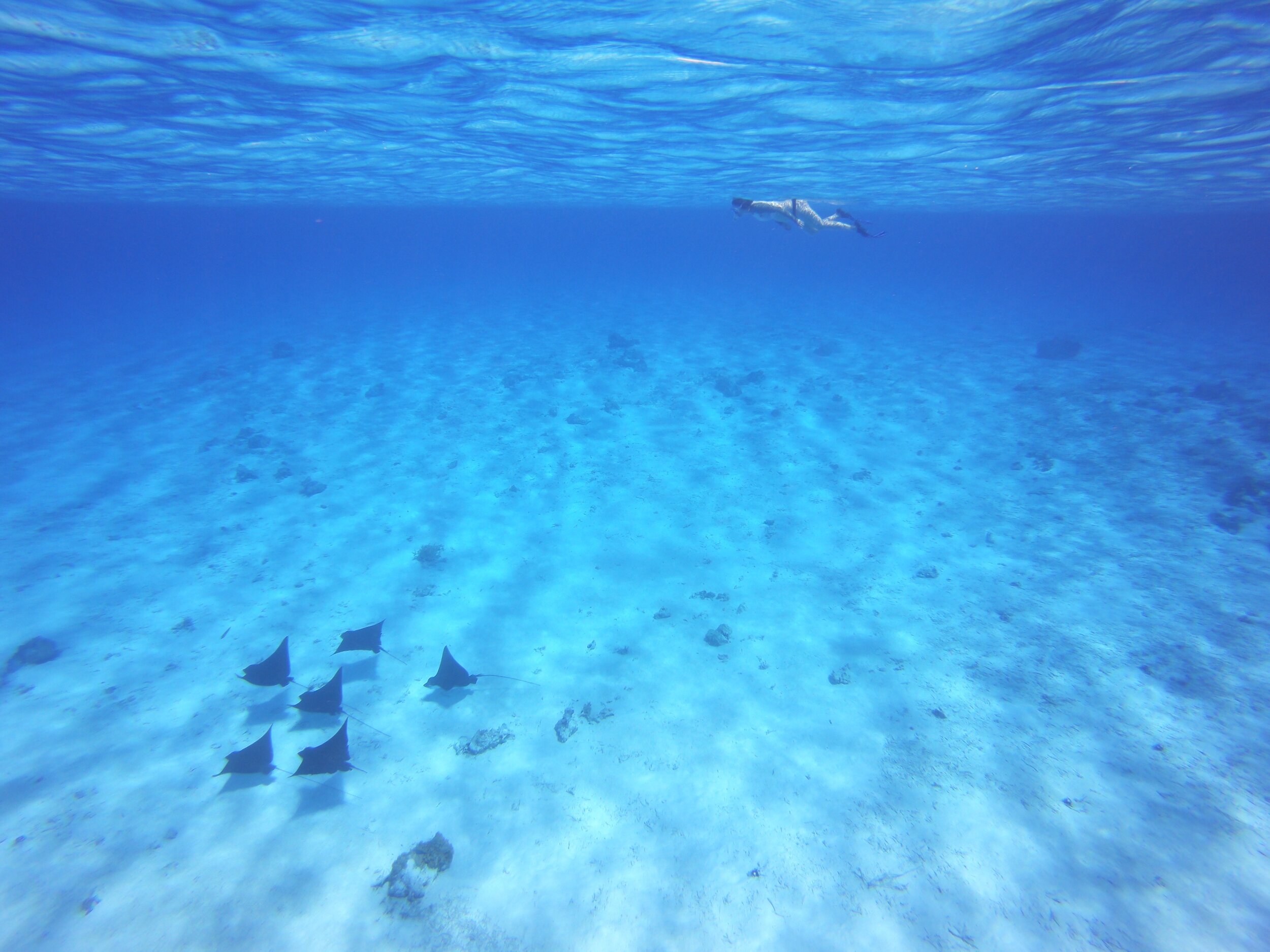 One Last Trip Before Motherhood | French Polynesia