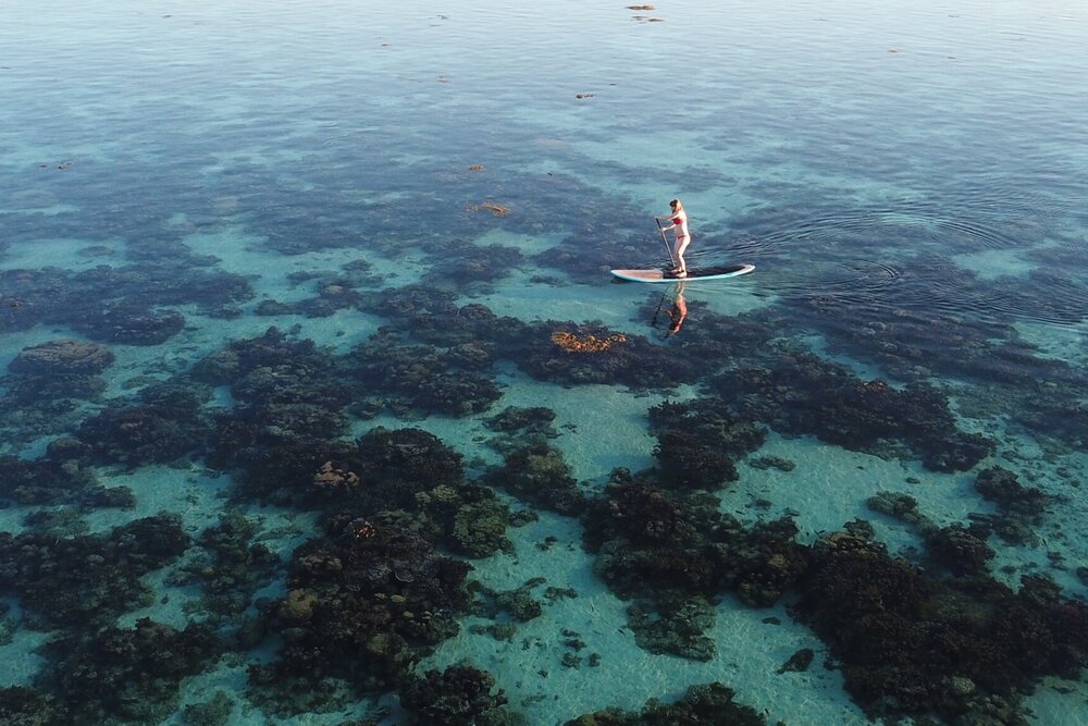 Paddle boarding in Moorea, French Polynesia