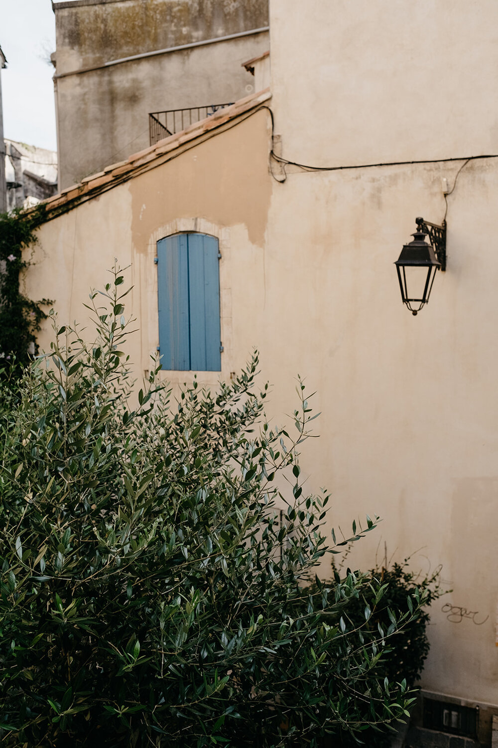 Quintessential Provence - periwinkle shutters and olive trees