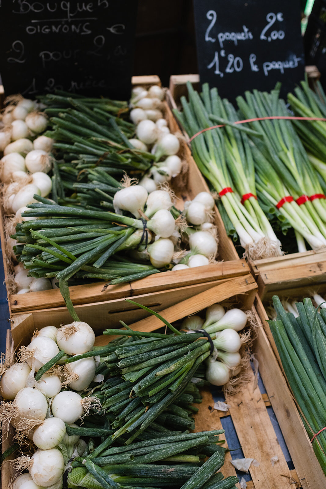Garlic and onions on market day in France
