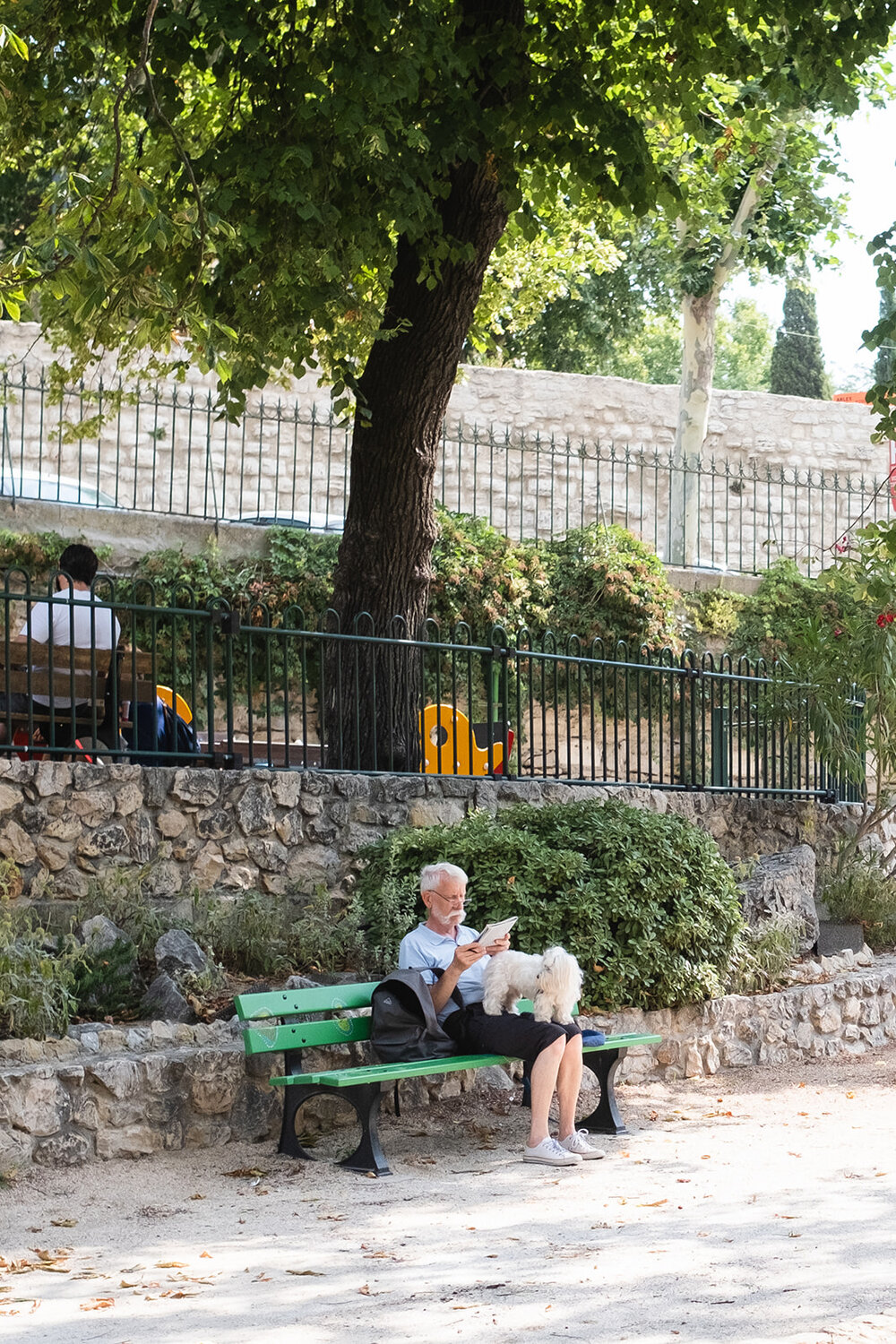 A man reads a book with his dog on a green bench in the South of France