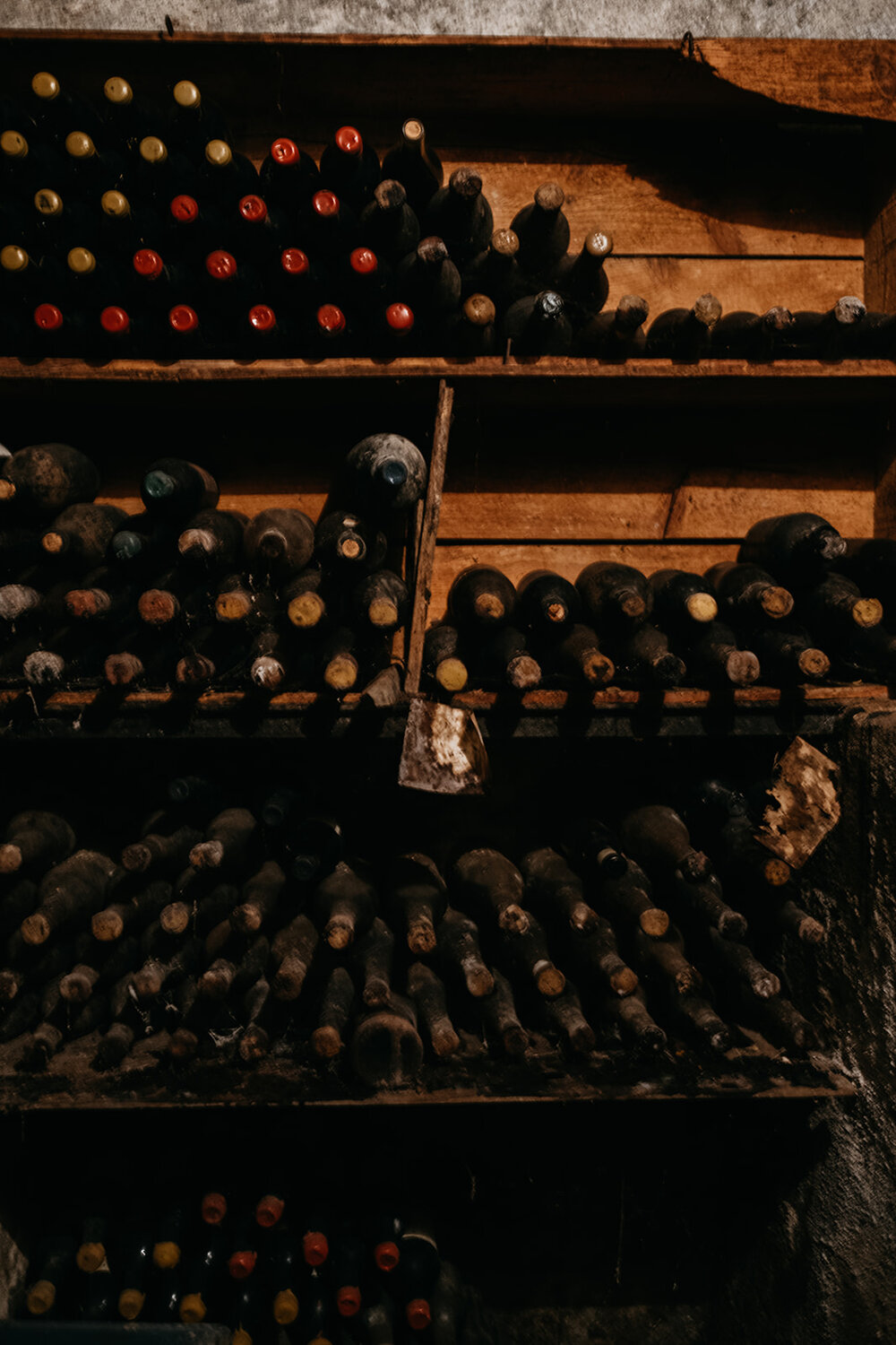 Years of wine making stacked below the earth in the cellar