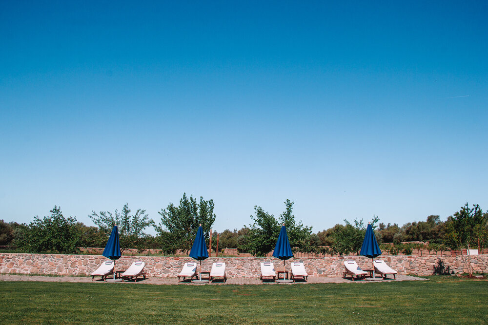 Chairs lined up for sun bathing near the big pool