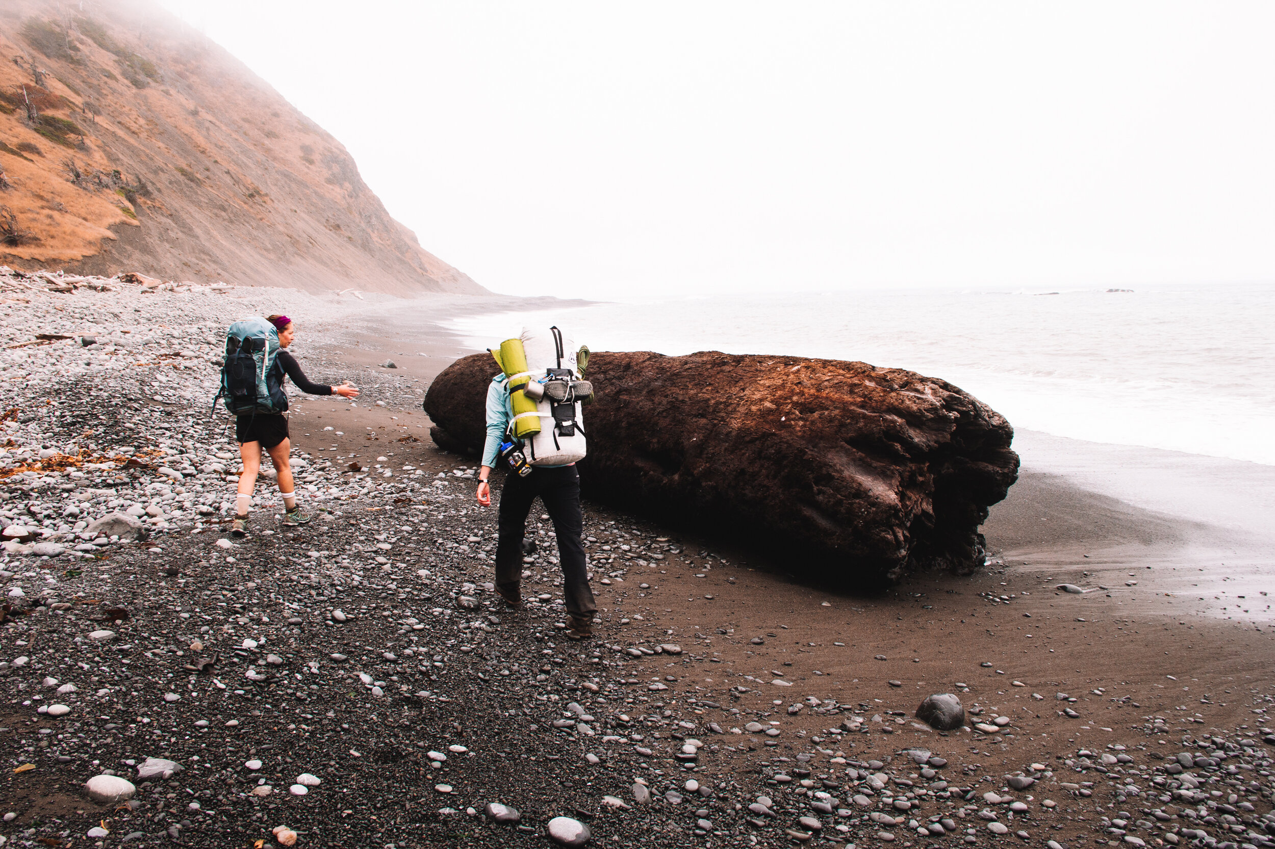 Passing giant redwood logs on the coast