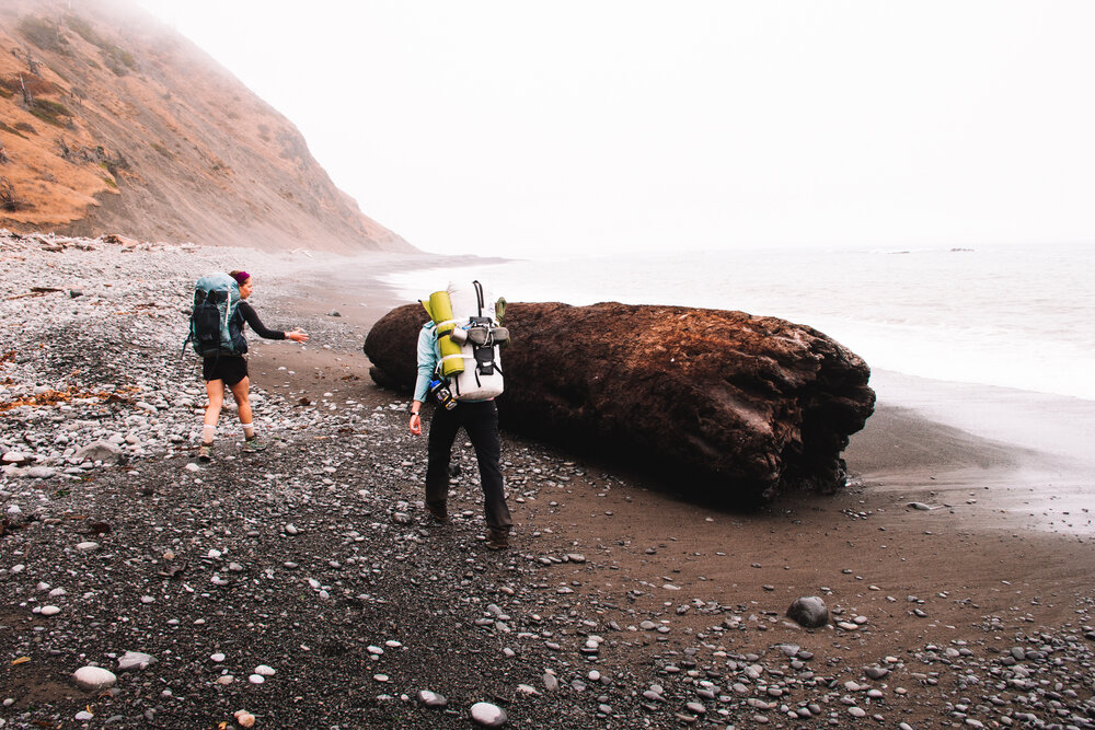 Passing giant redwood logs on the coast