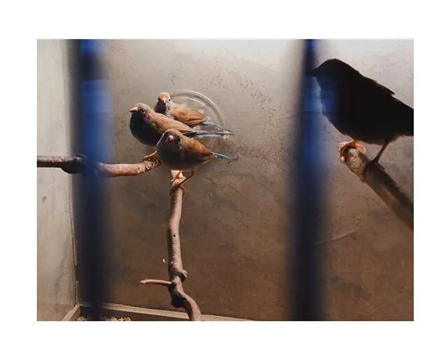 The Blanket Factory A Family Run Textile Business in Todos Santos — Beyond Ordinary Guides