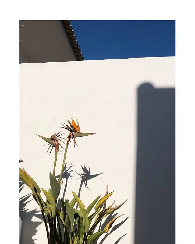 The Blanket Factory A Family Run Textile Business in Todos Santos — Beyond Ordinary Guides
