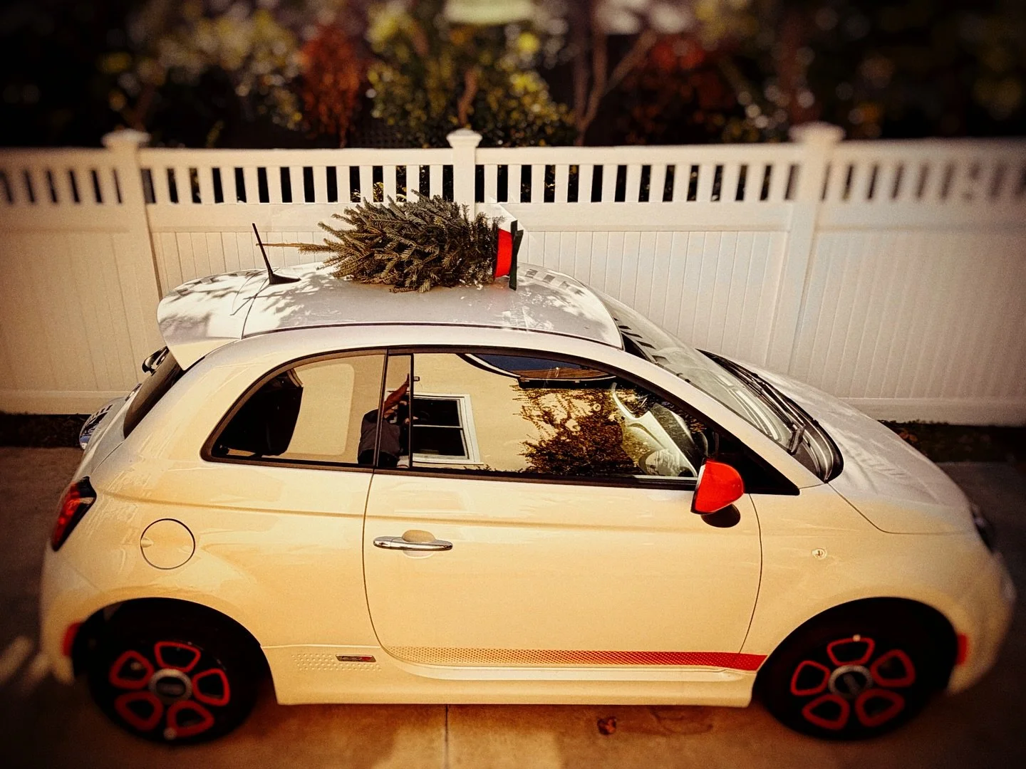 A little Christmas spirit! 🎄
#christmas #tree #fiat